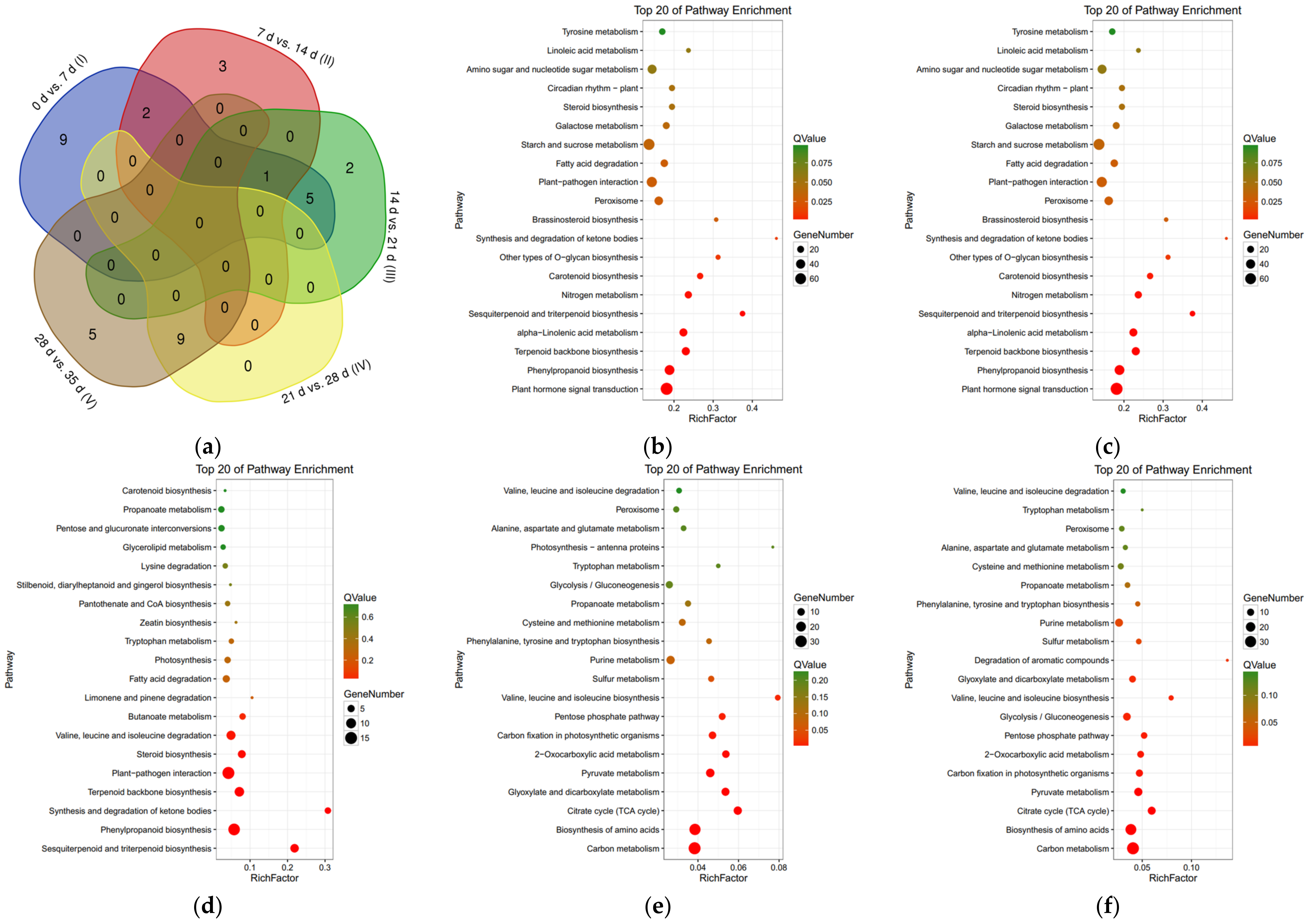 Genes 09 00639 g004