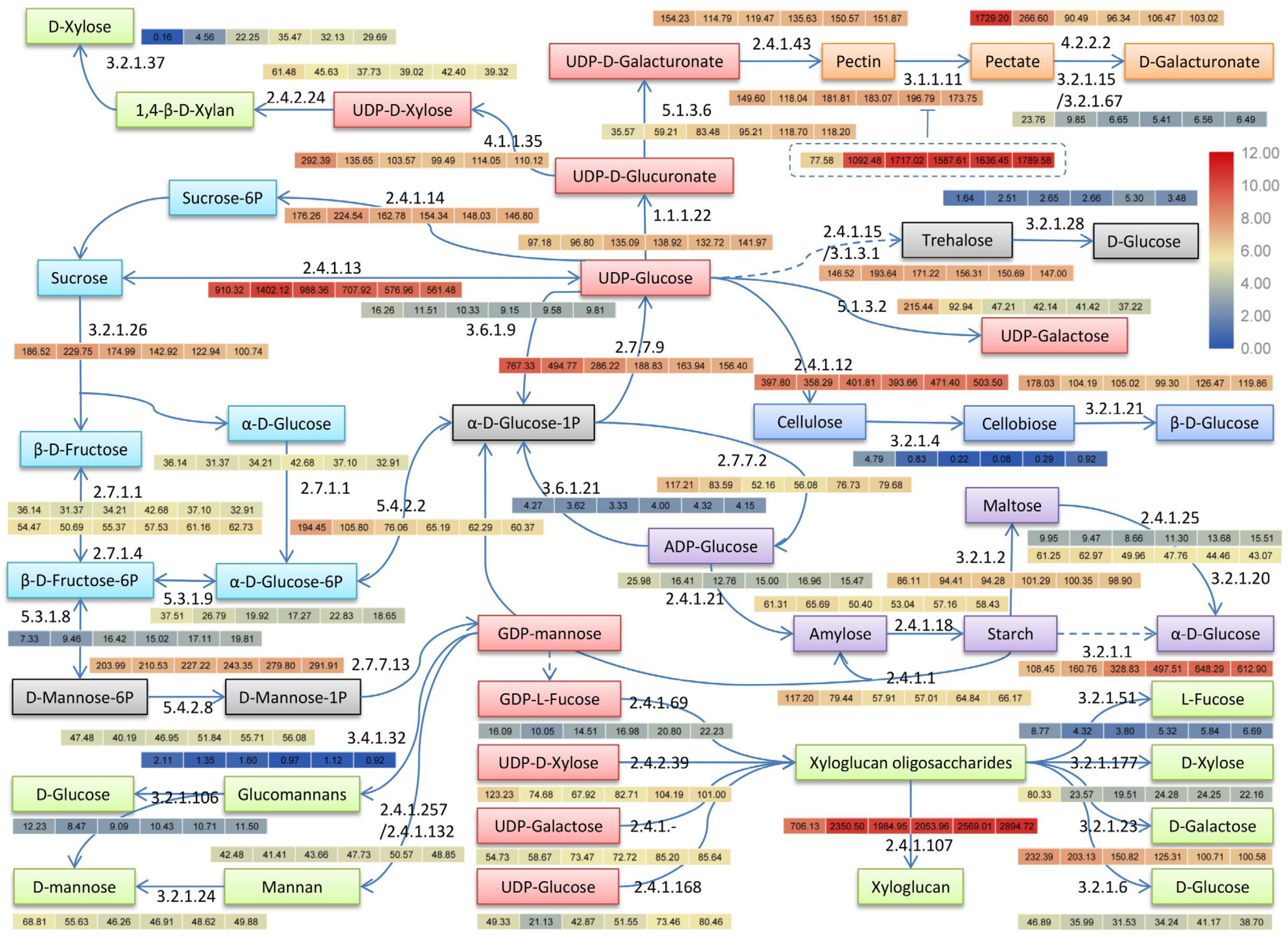 Genes 09 00639 g006