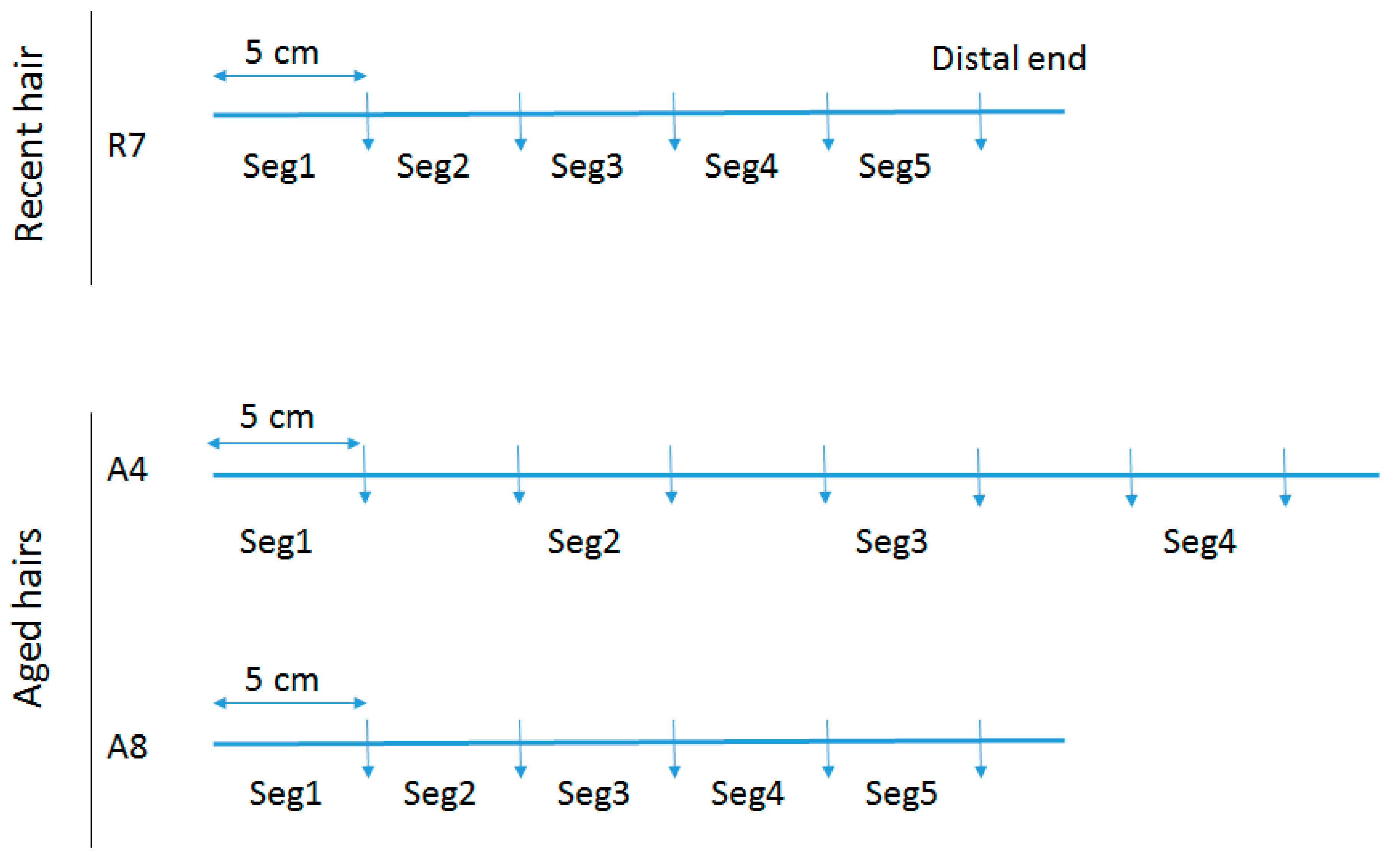 Genes 09 00640 g001