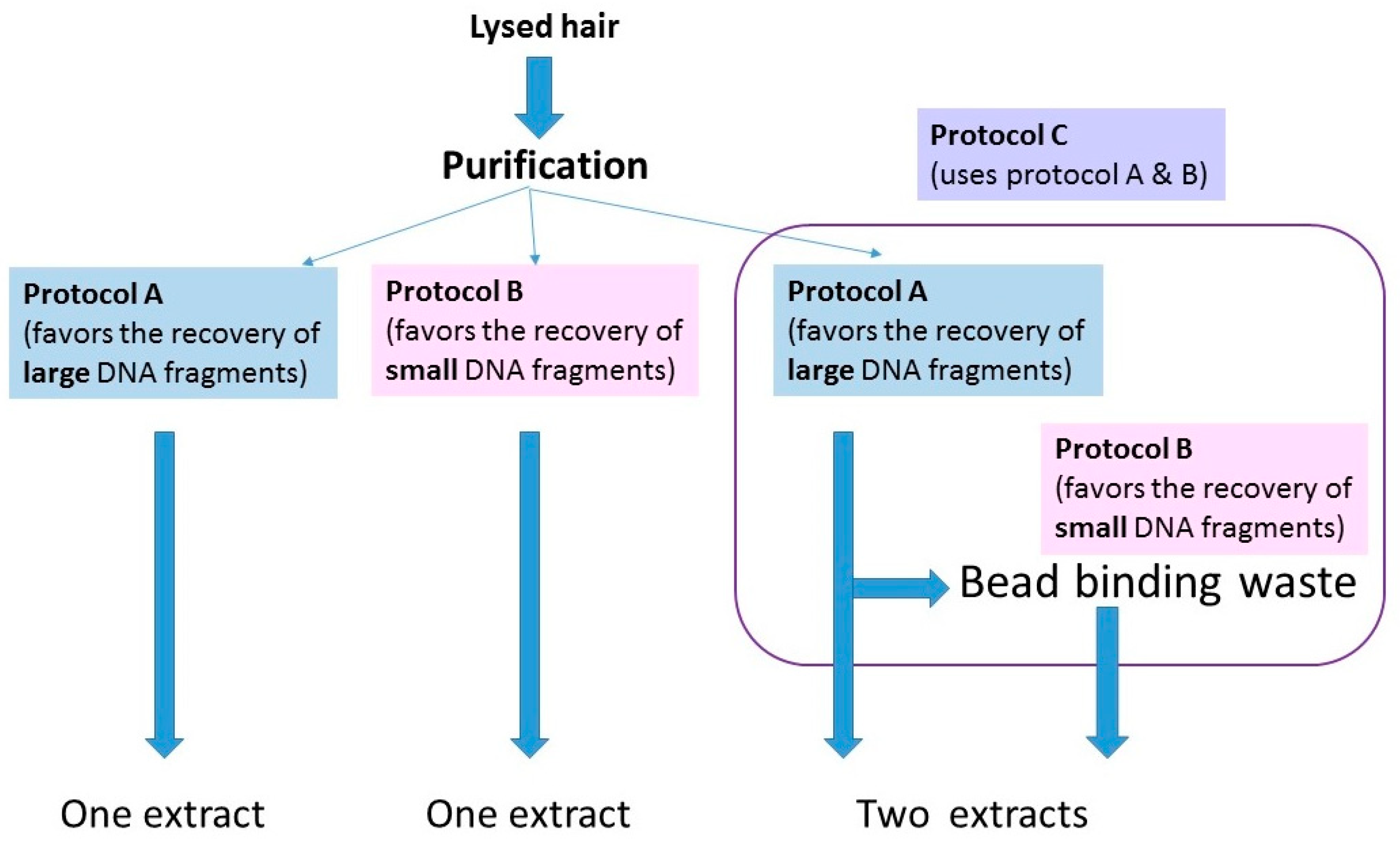 Genes 09 00640 g002