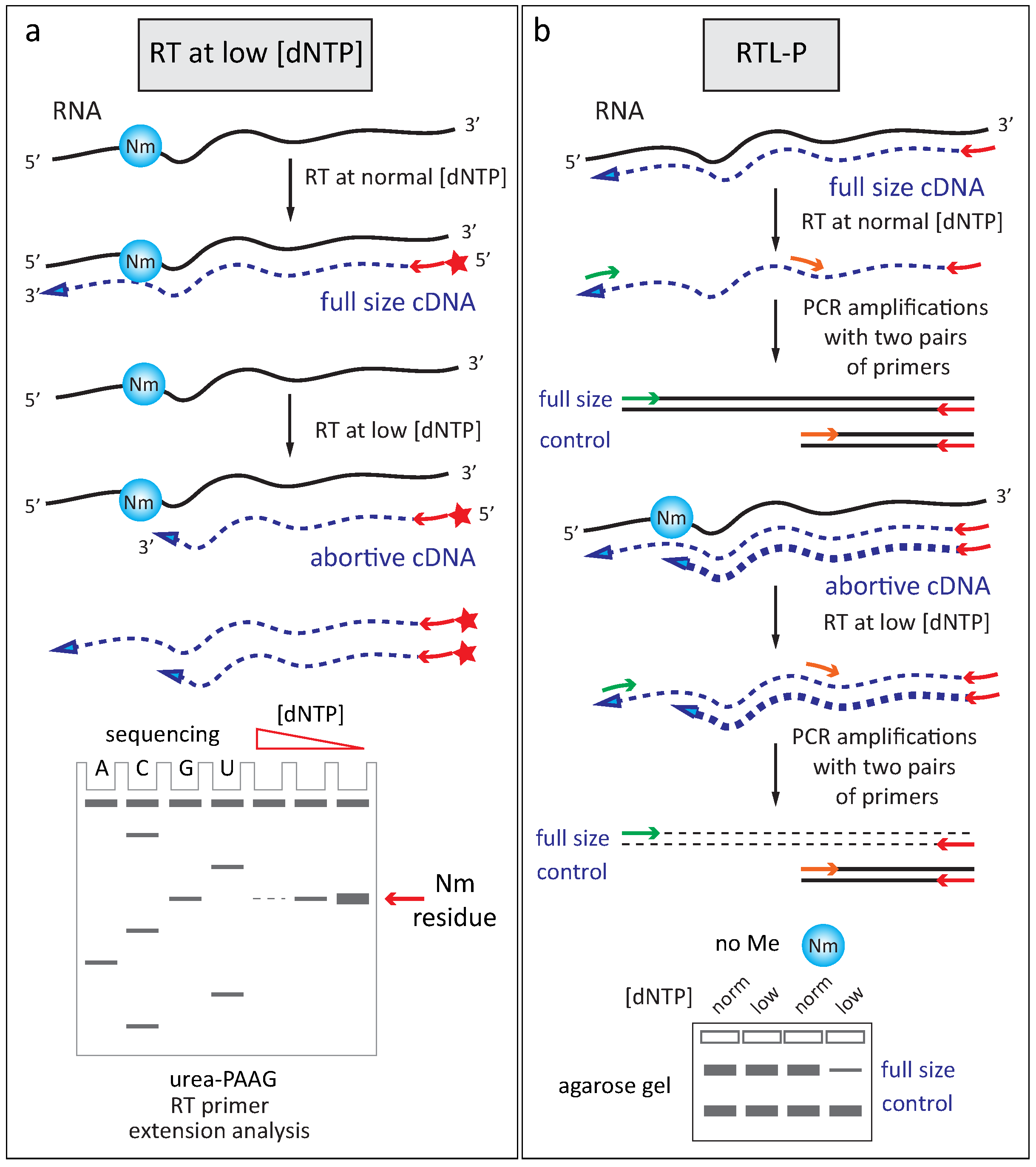 Genes 09 00642 g003