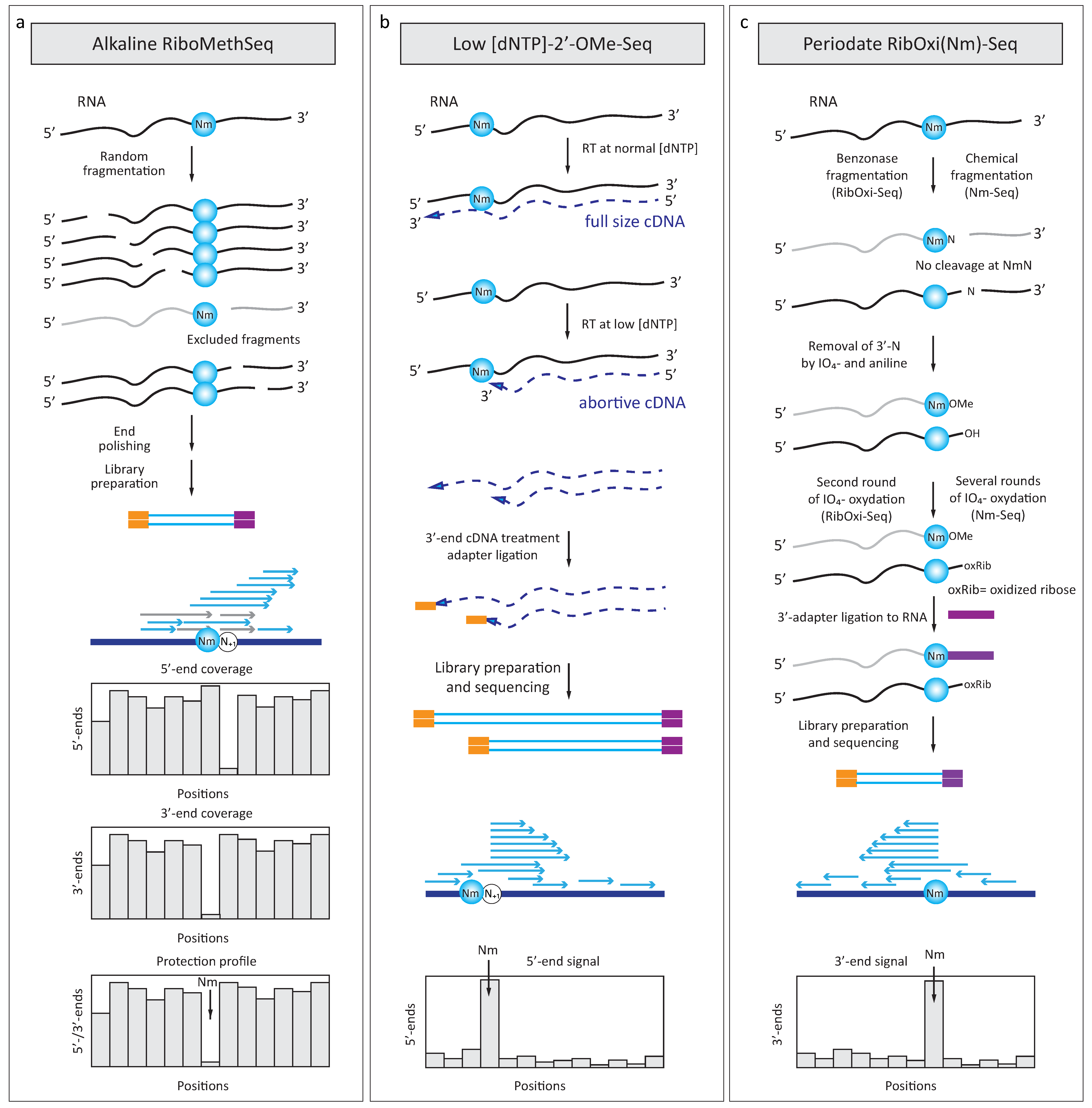 Genes 09 00642 g004
