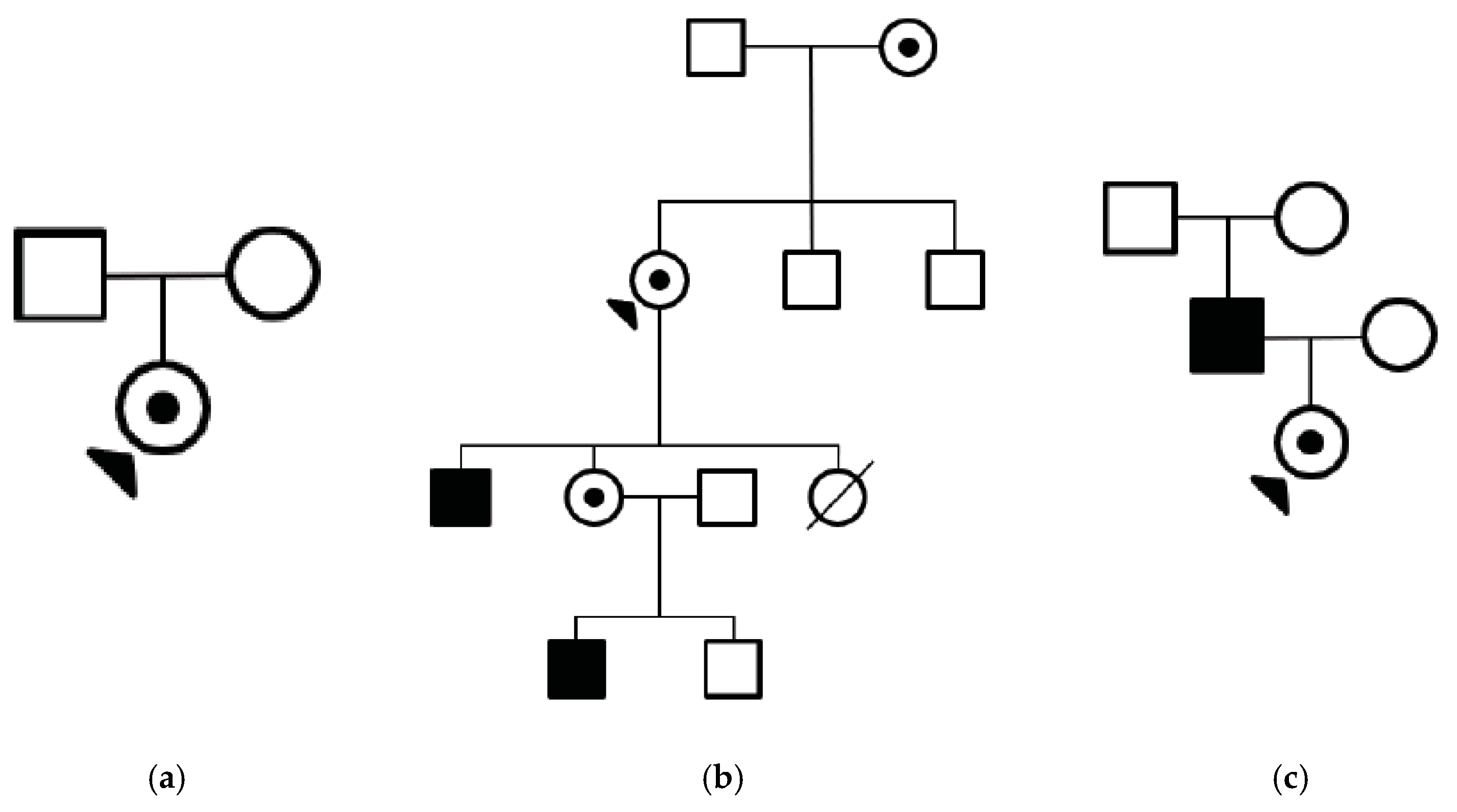 Genes 09 00643 g005
