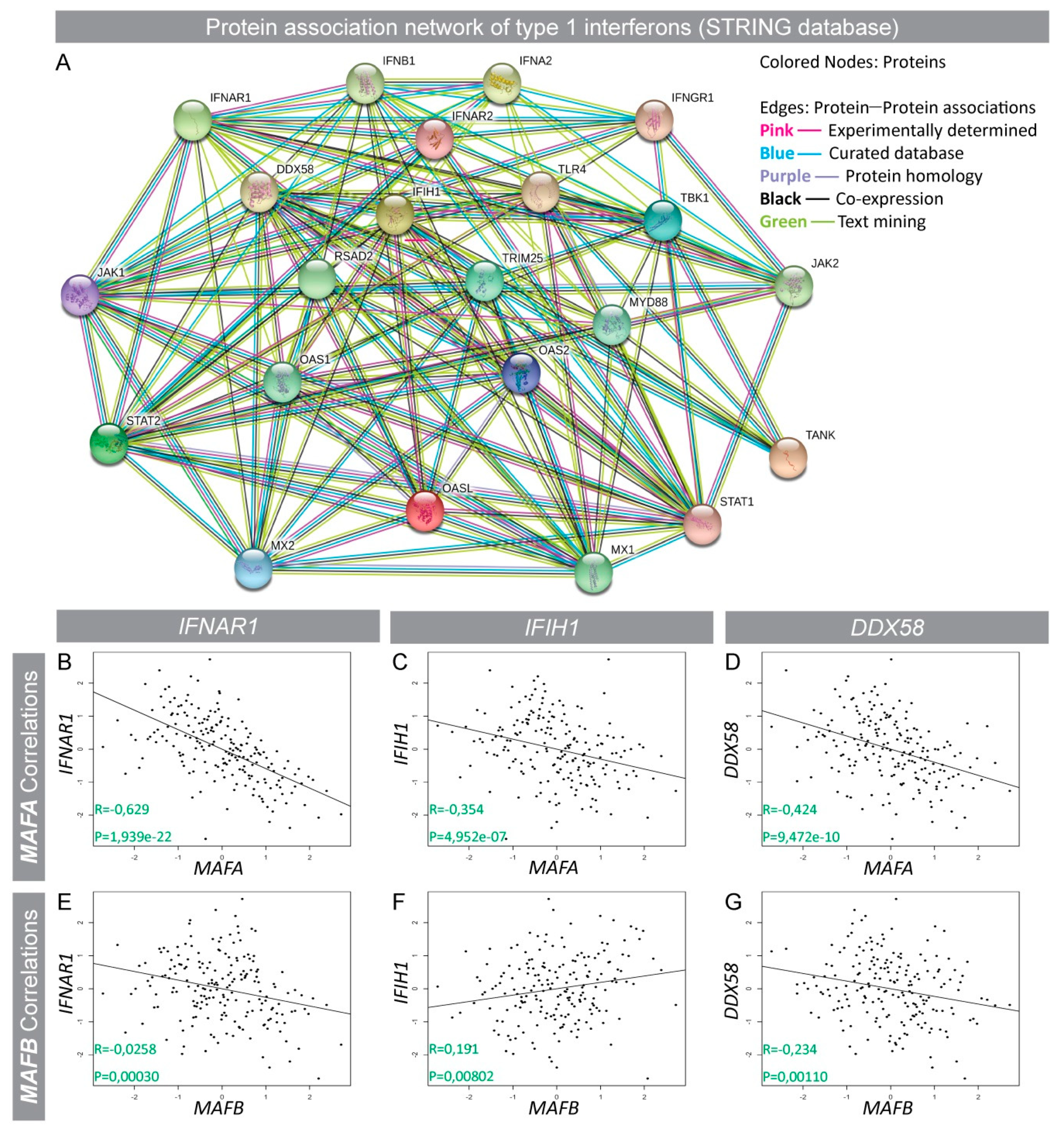 Genes 09 00644 g002