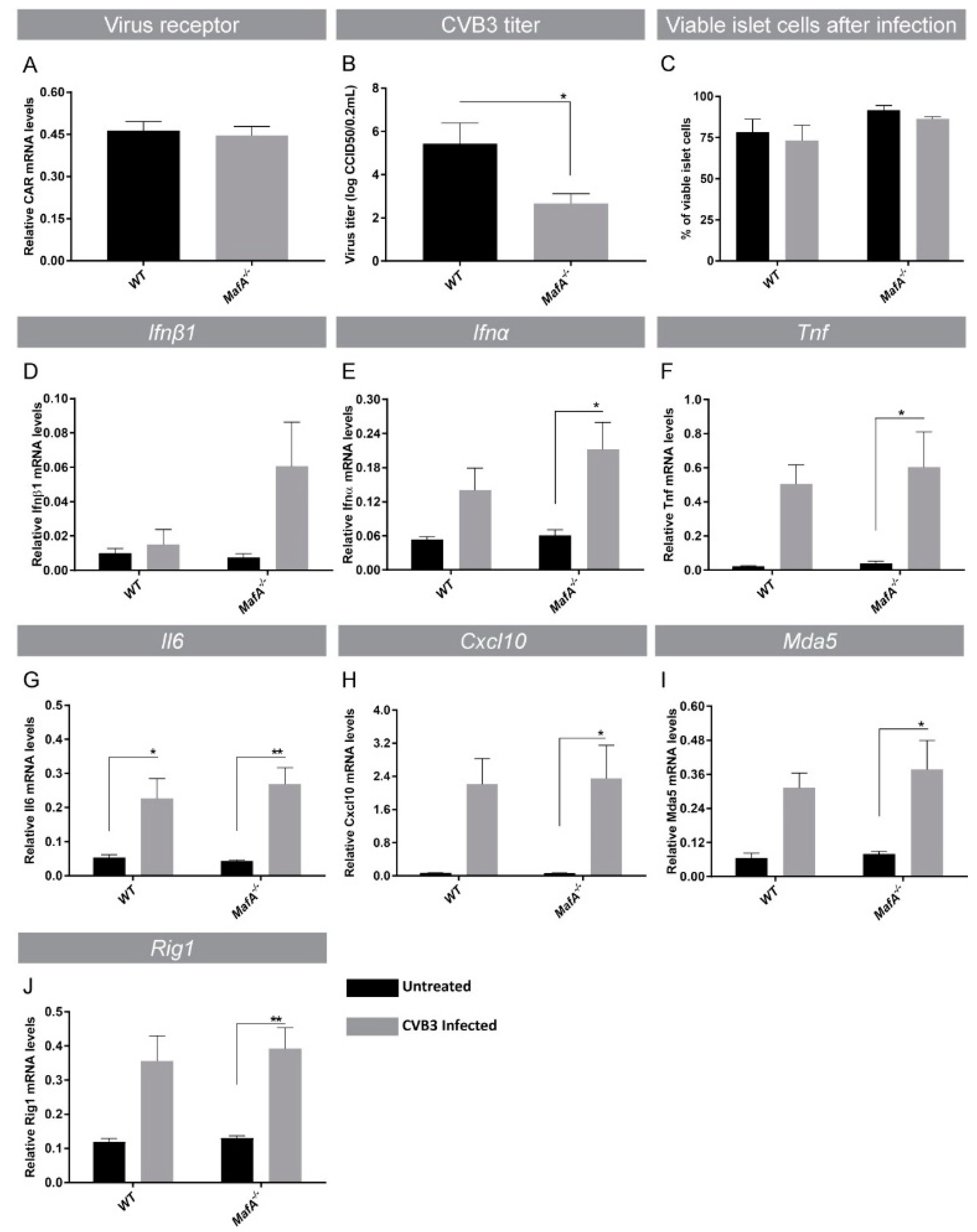 Genes 09 00644 g005