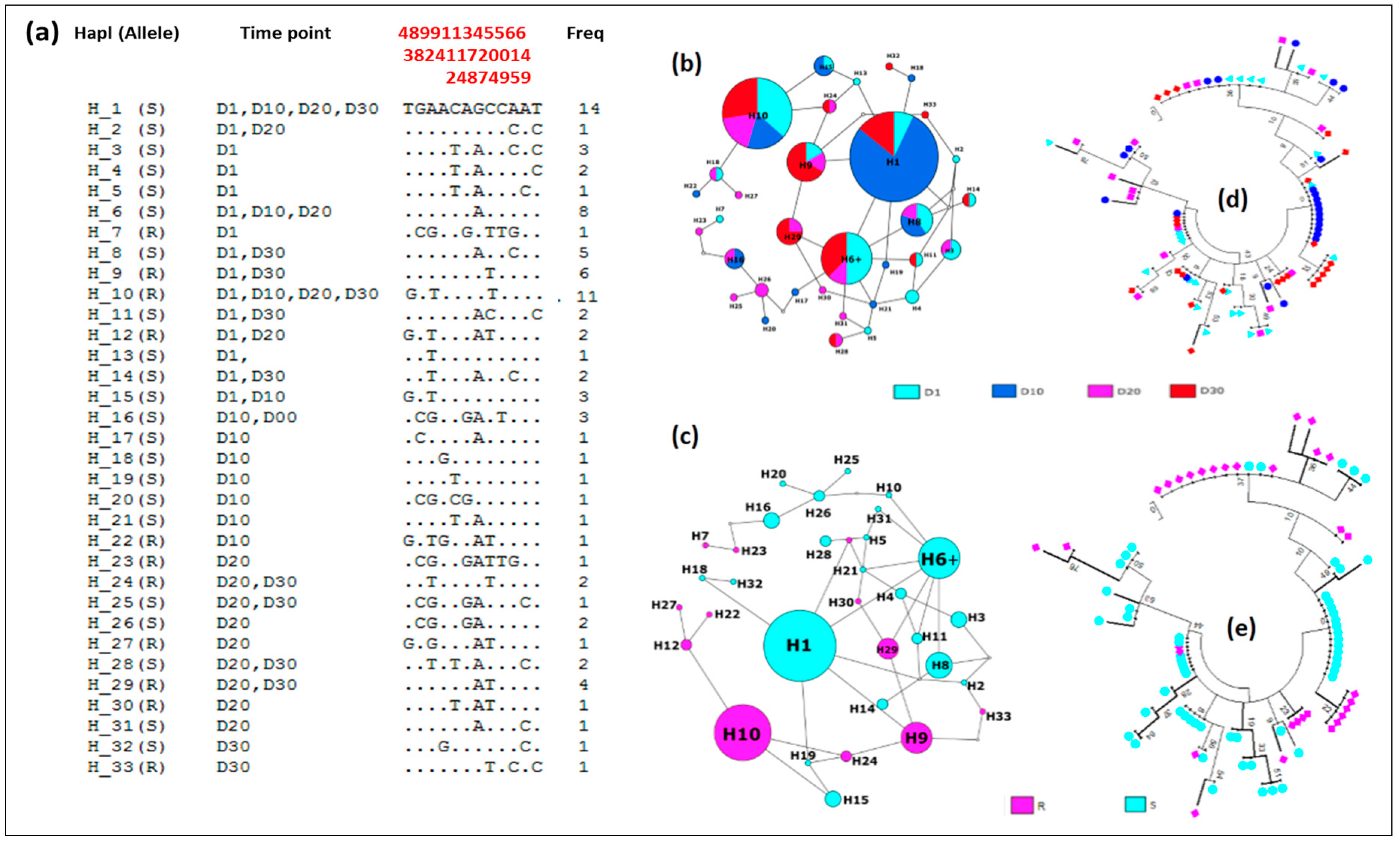 Genes 09 00645 g004