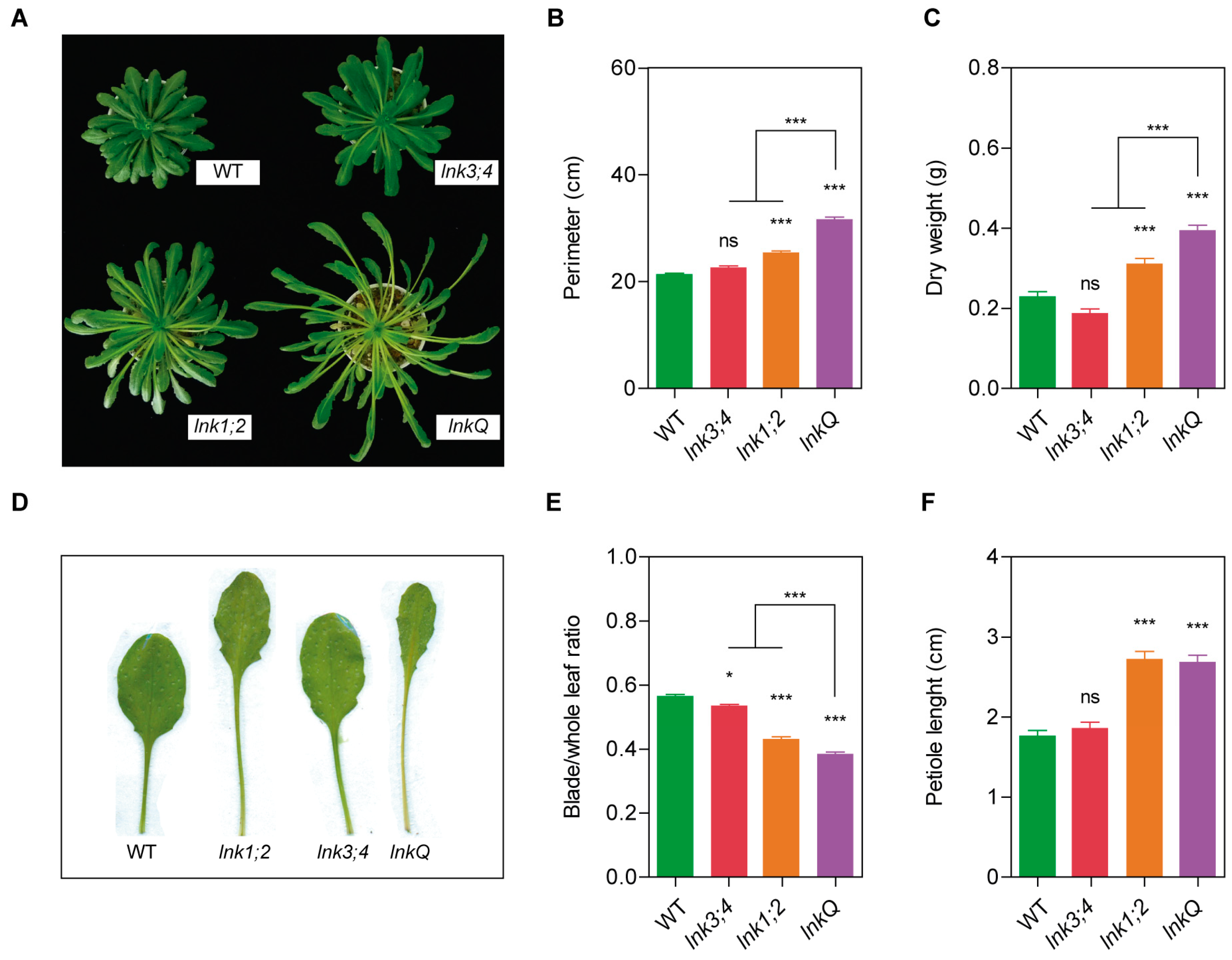 Genes 10 00002 g005