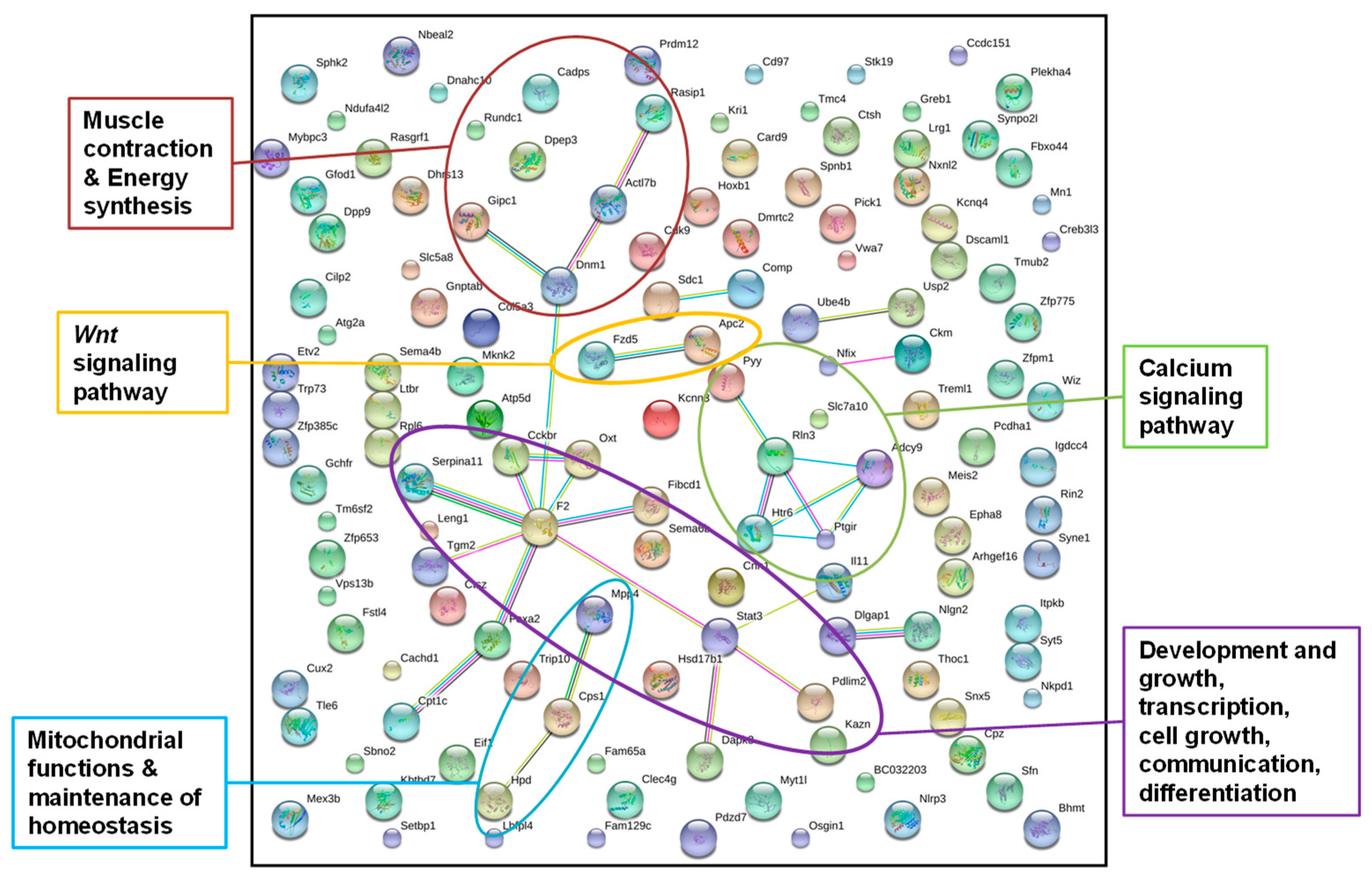 Genes 10 00004 g003