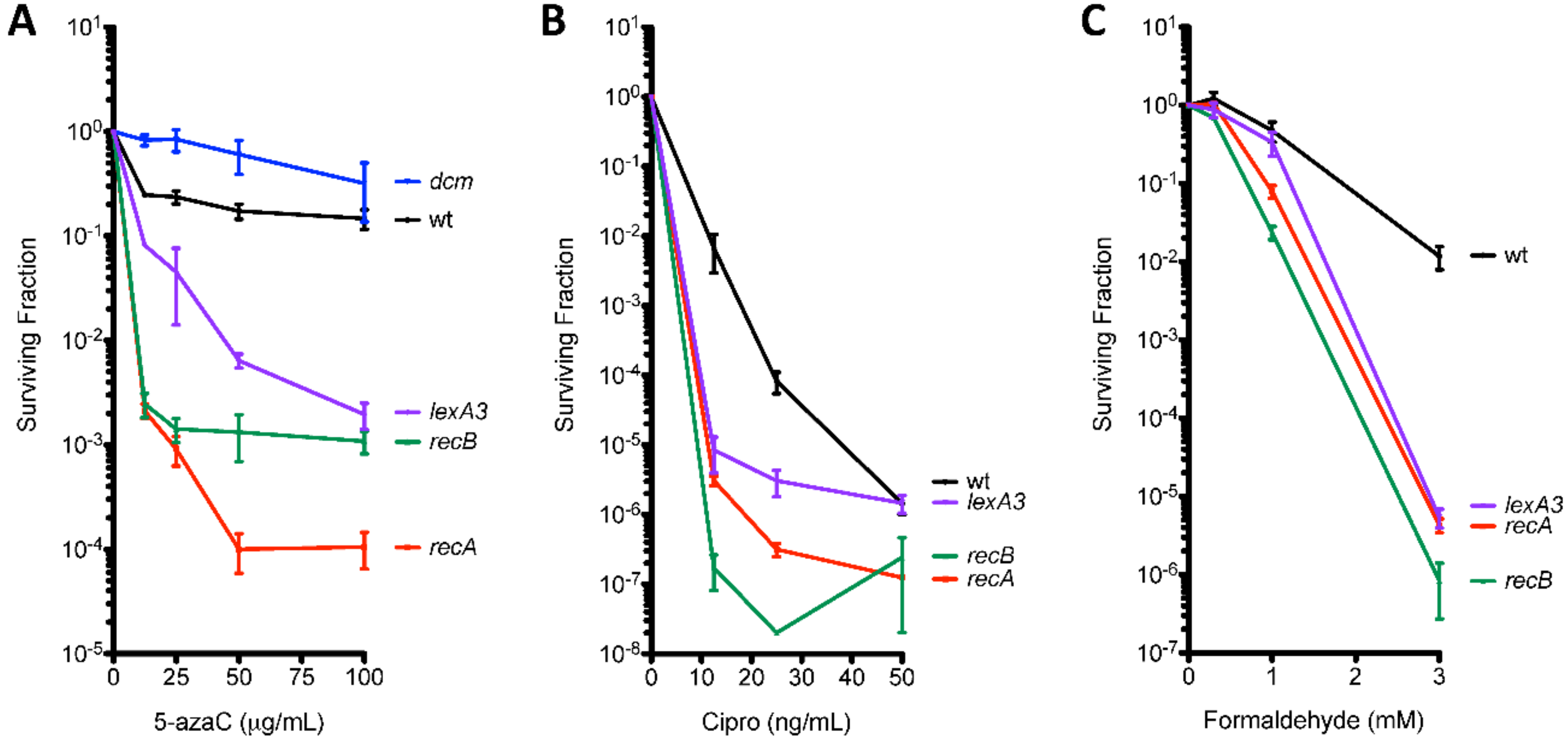 Genes 10 00014 g003