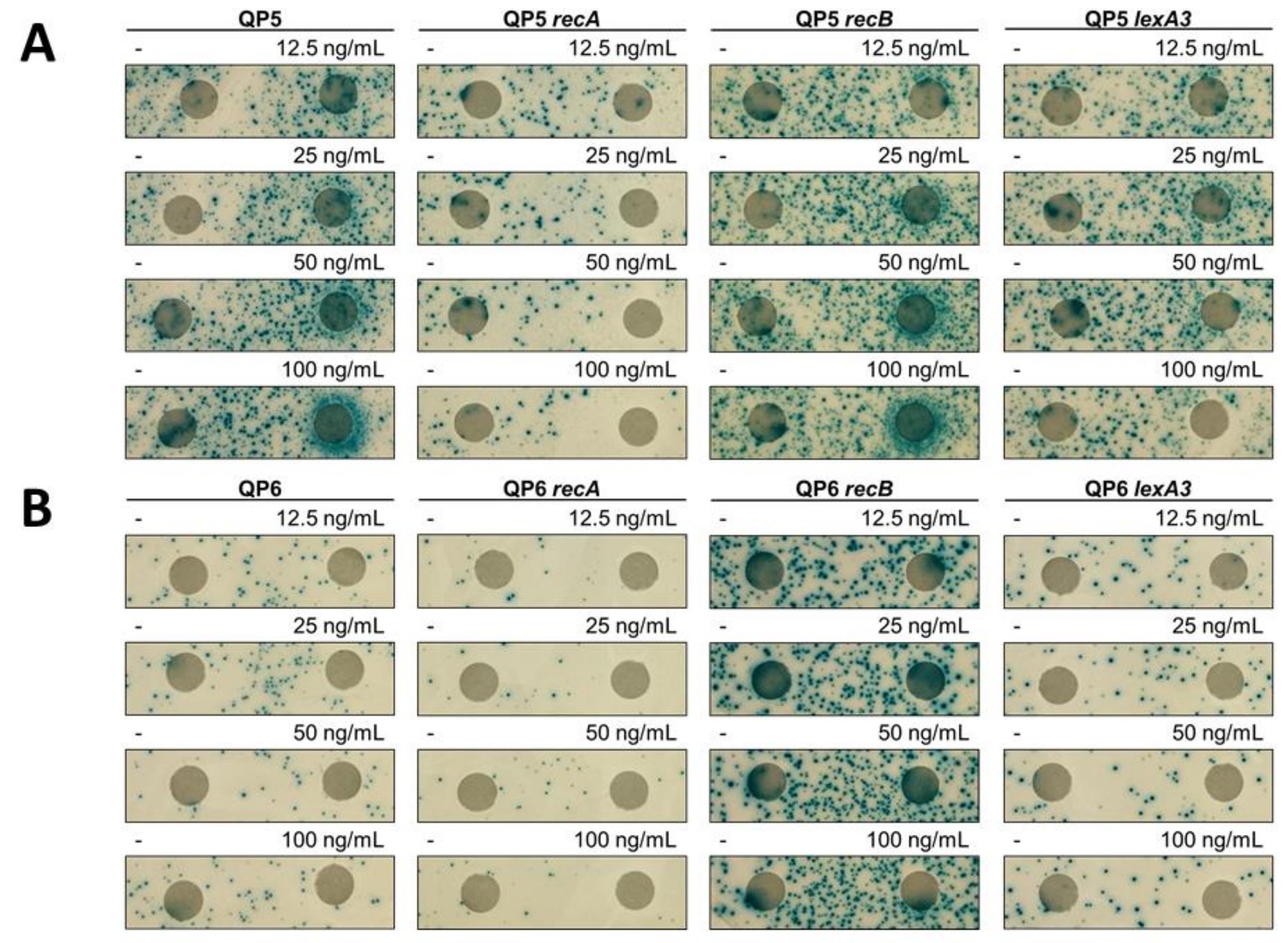 Genes 10 00014 g007