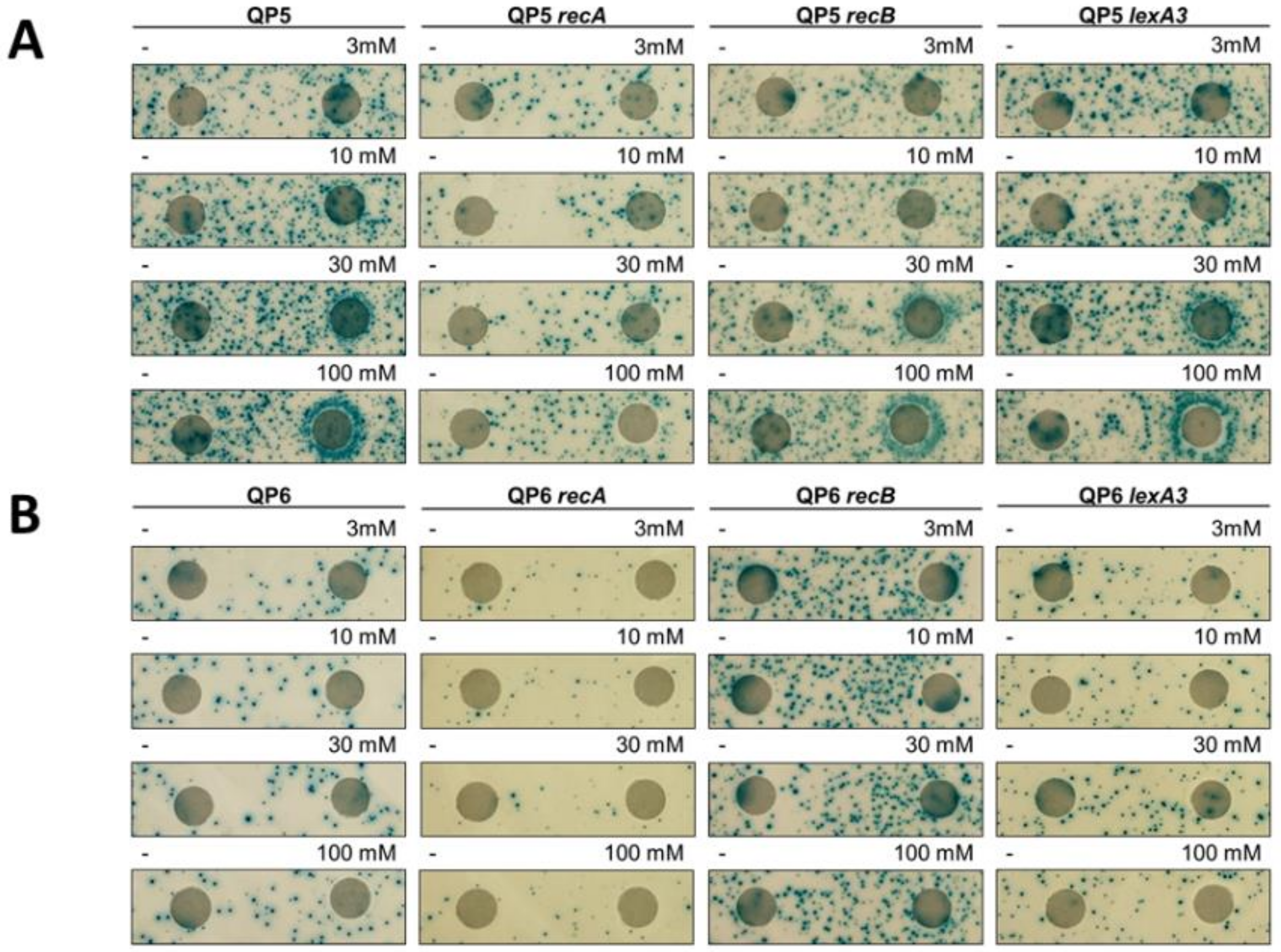Genes 10 00014 g008