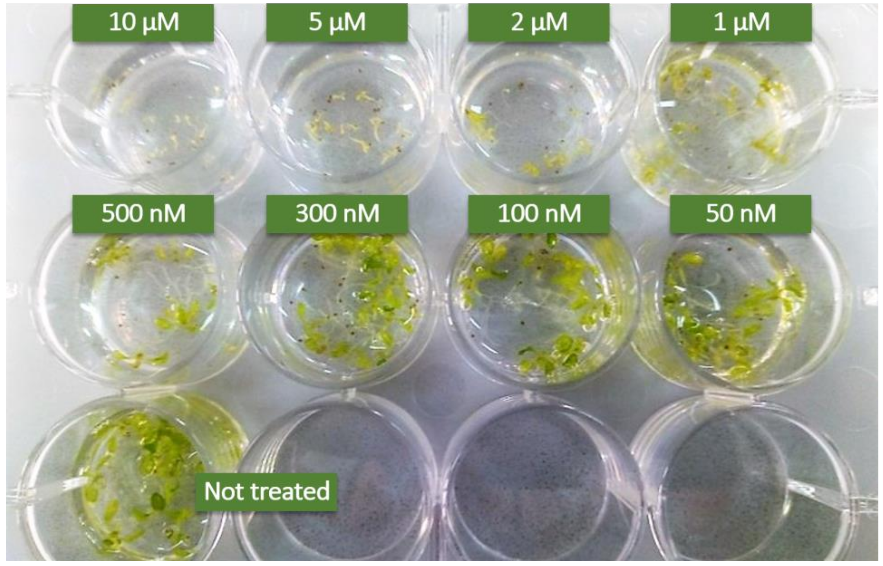 Genes 10 00015 g001 Genes 10 00015 g001