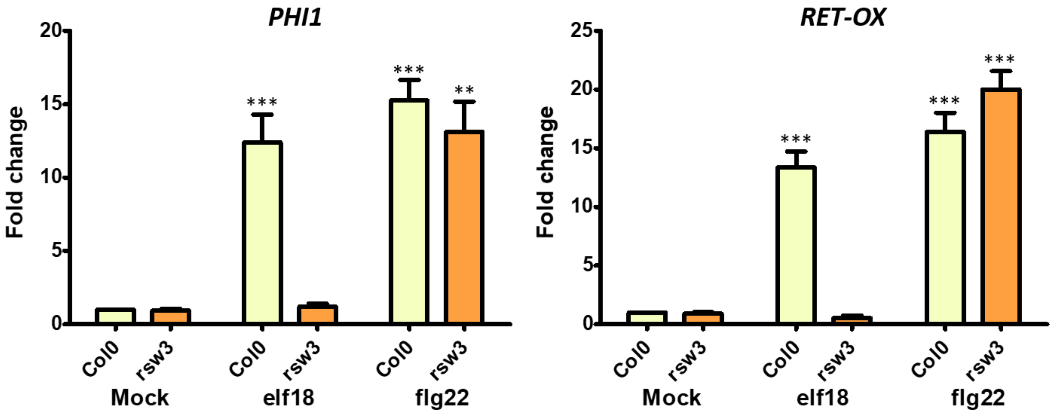 Genes 10 00015 g003 Genes 10 00015 g003
