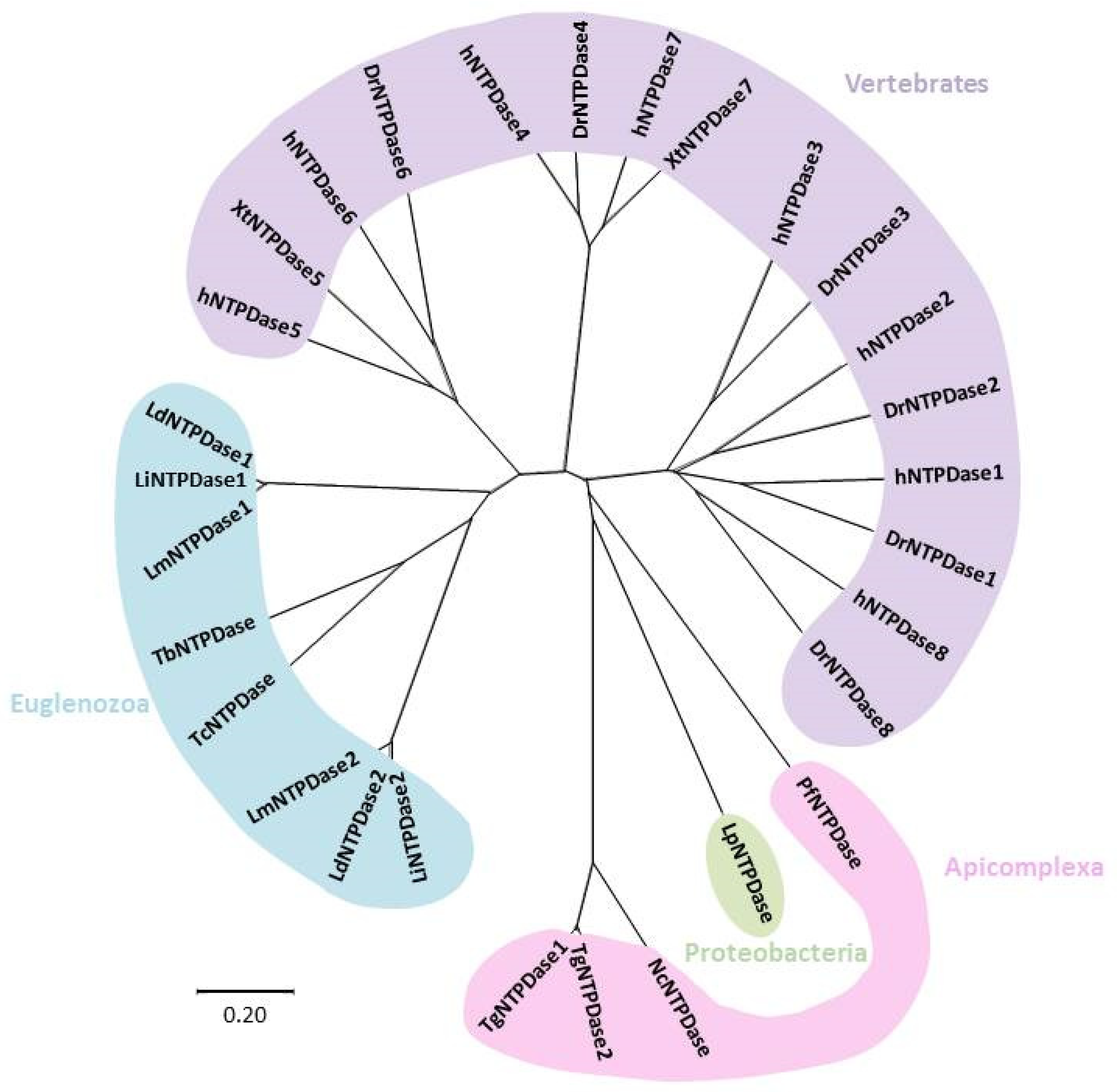 Genes 10 00016 g002 Genes 10 00016 g002