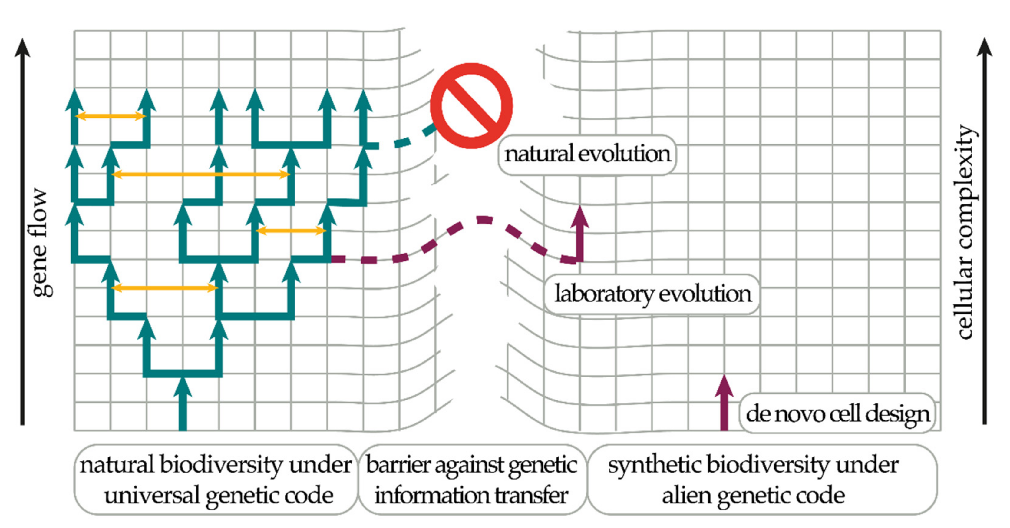 Genes 10 00017 g001