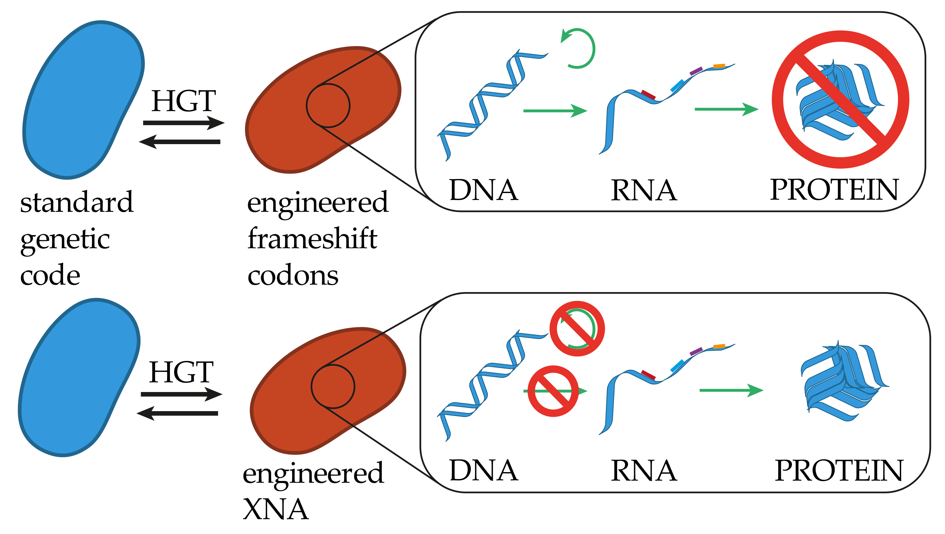Genes 10 00017 g003