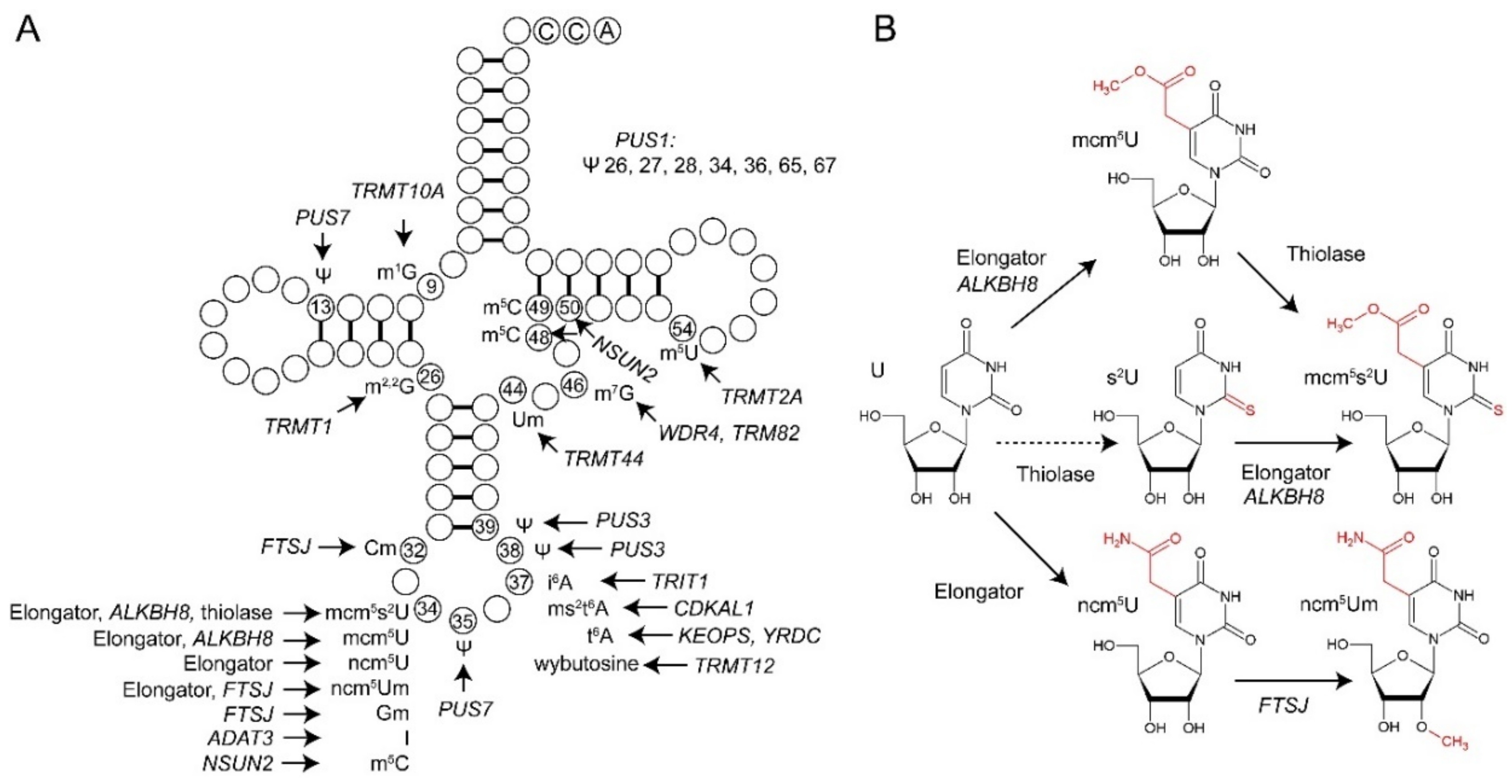Genes 10 00019 g001 Genes 10 00019 g001