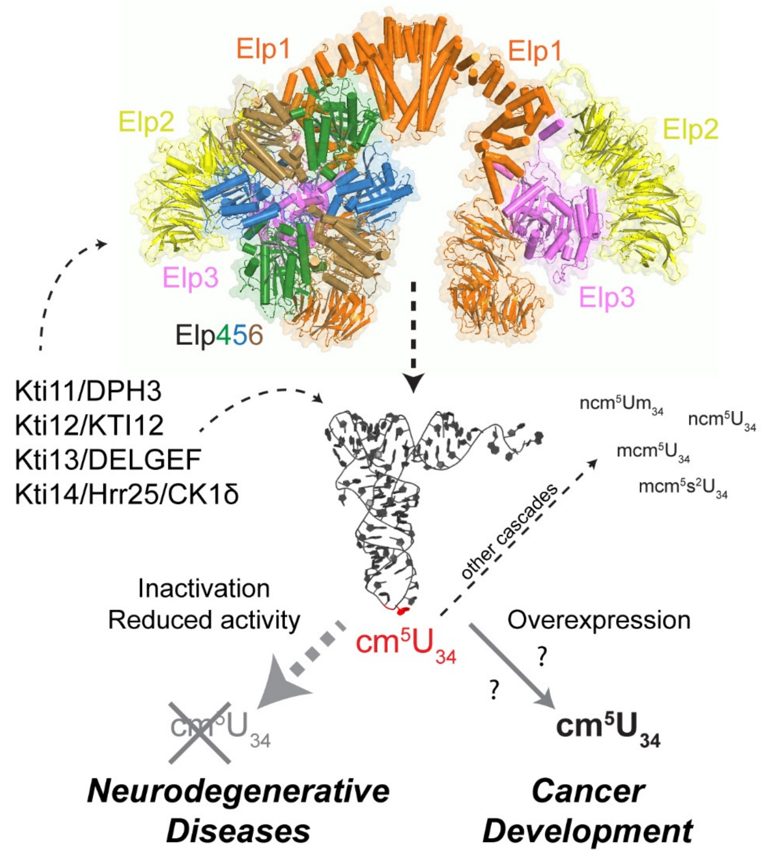 Genes 10 00019 g002 Genes 10 00019 g002