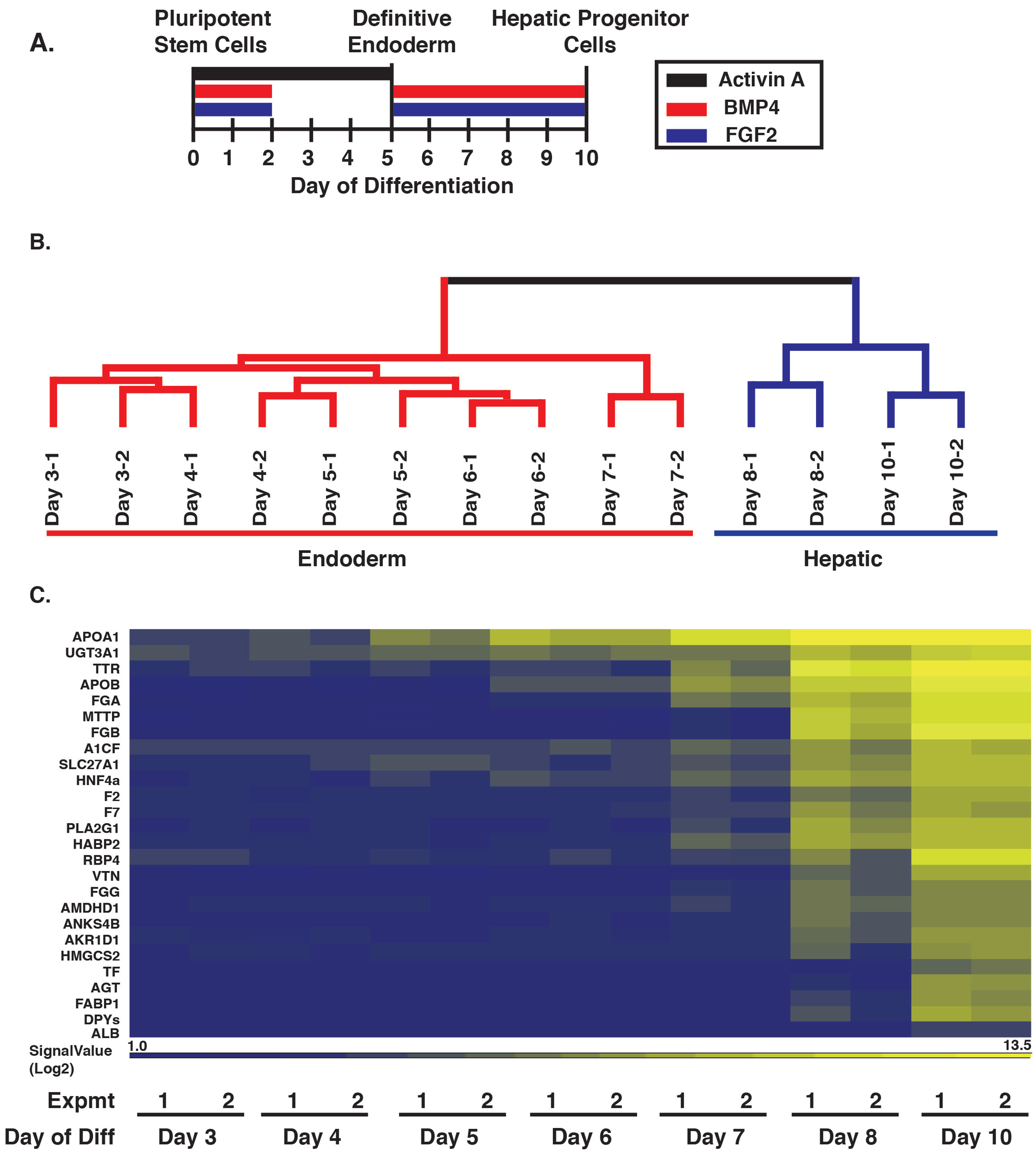 Genes 10 00021 g001 Genes 10 00021 g001