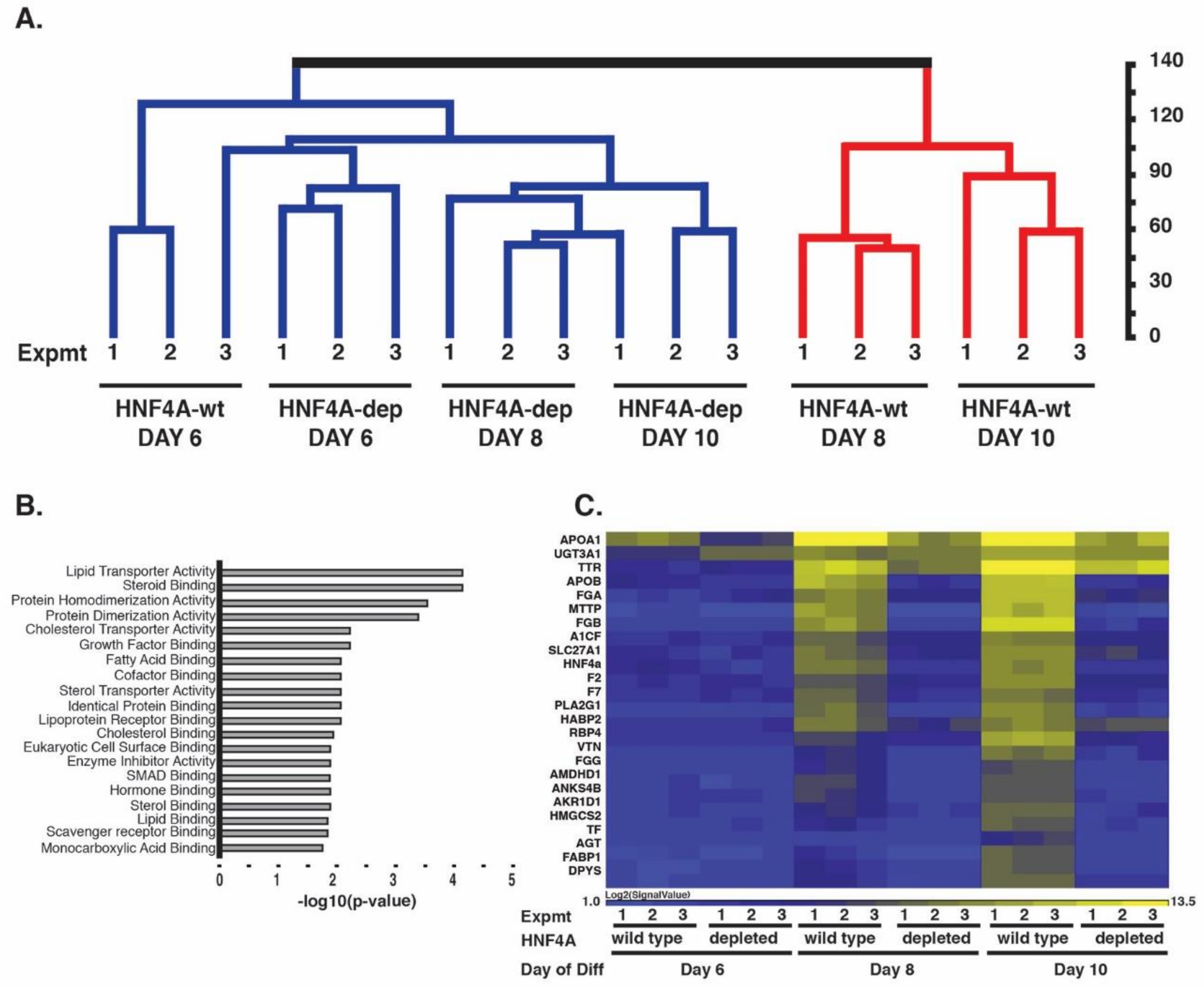 Genes 10 00021 g003 Genes 10 00021 g003