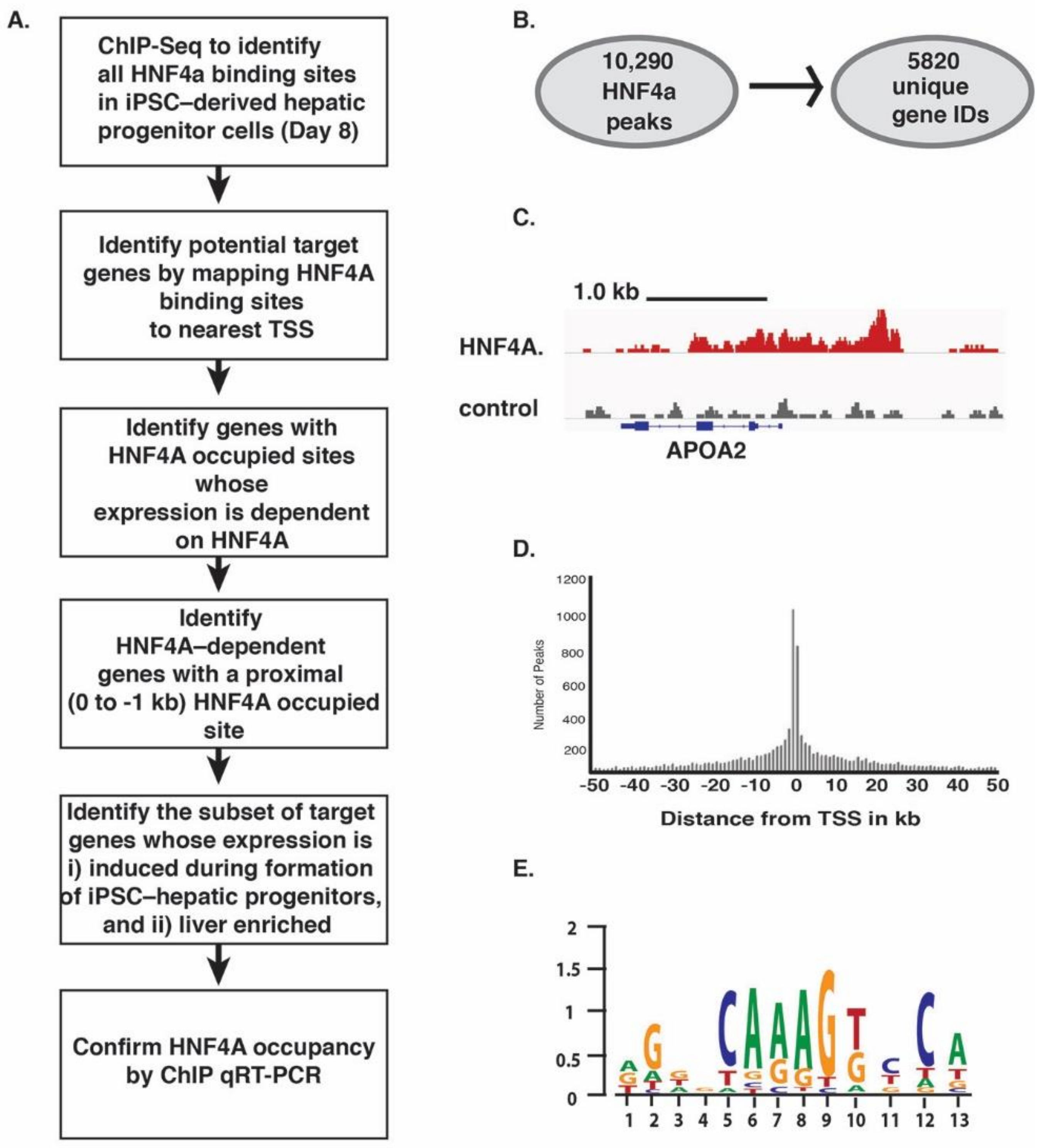 Genes 10 00021 g004 Genes 10 00021 g004