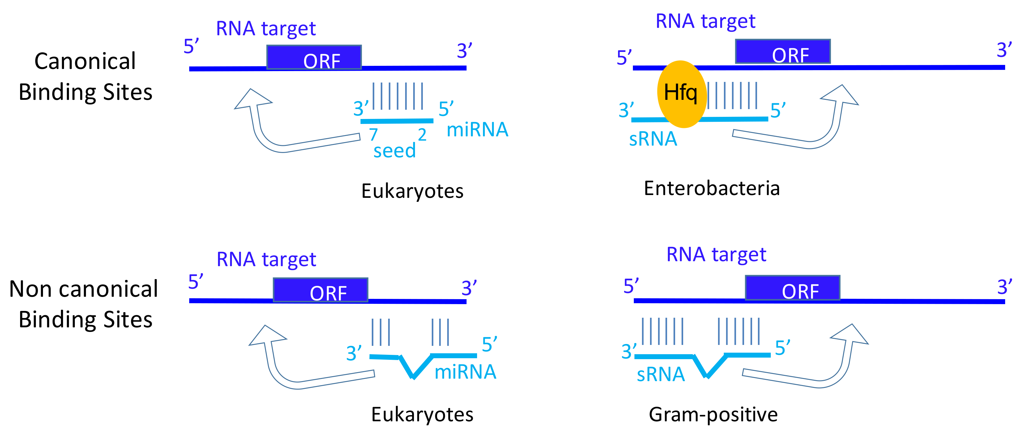 Genes 10 00022 g001