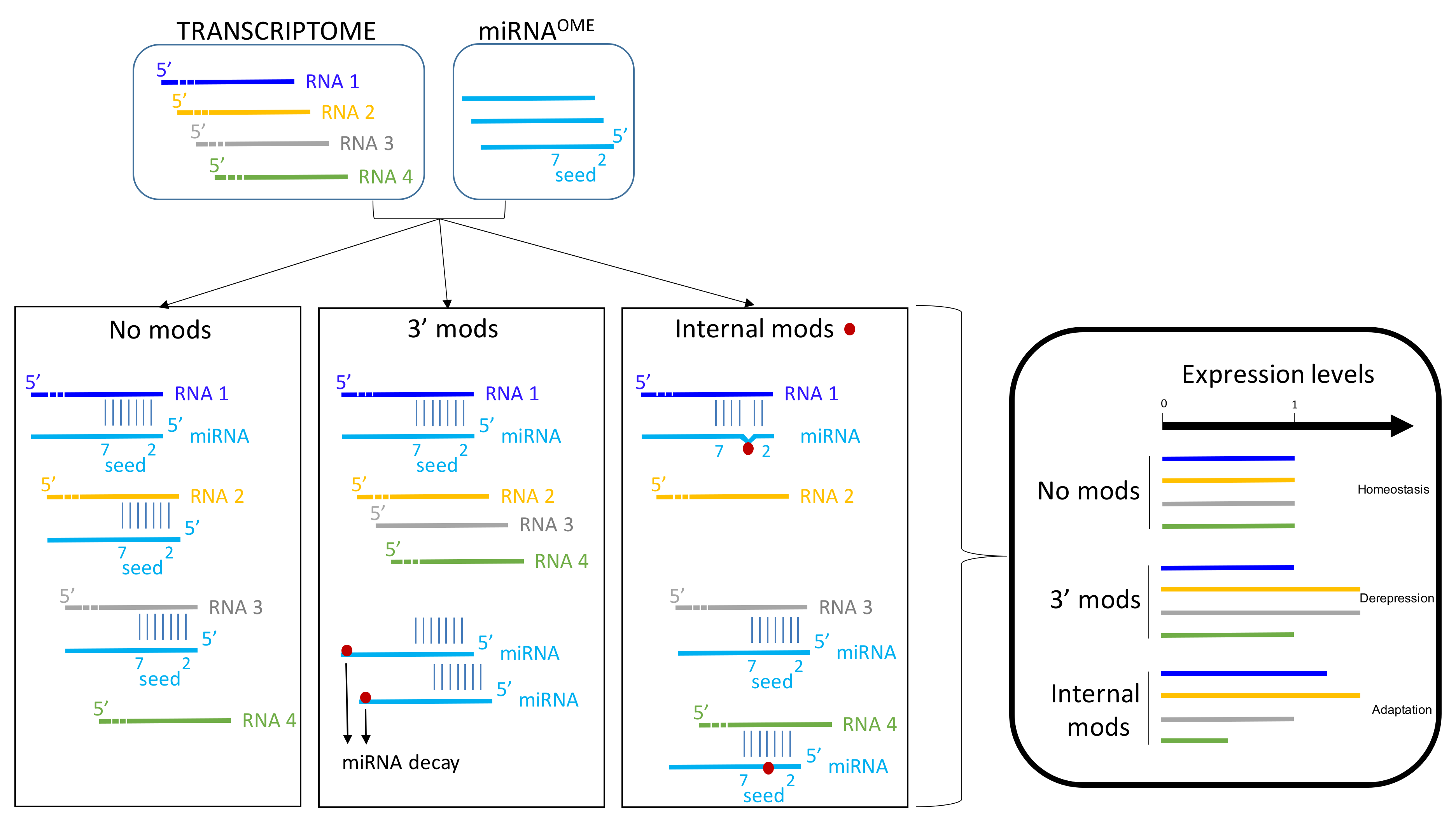 Genes 10 00022 g003