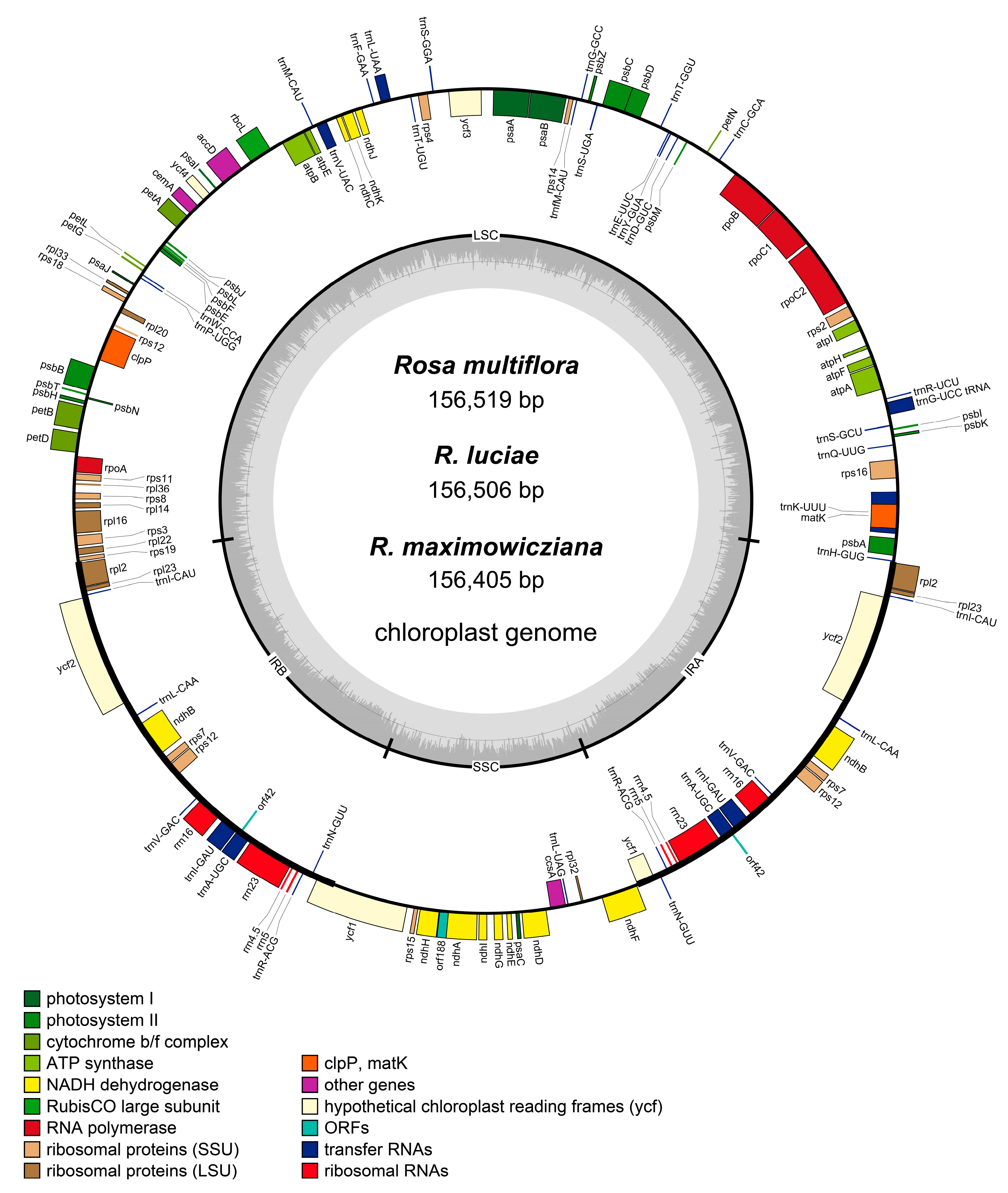 Genes 10 00023 g002 Genes 10 00023 g002