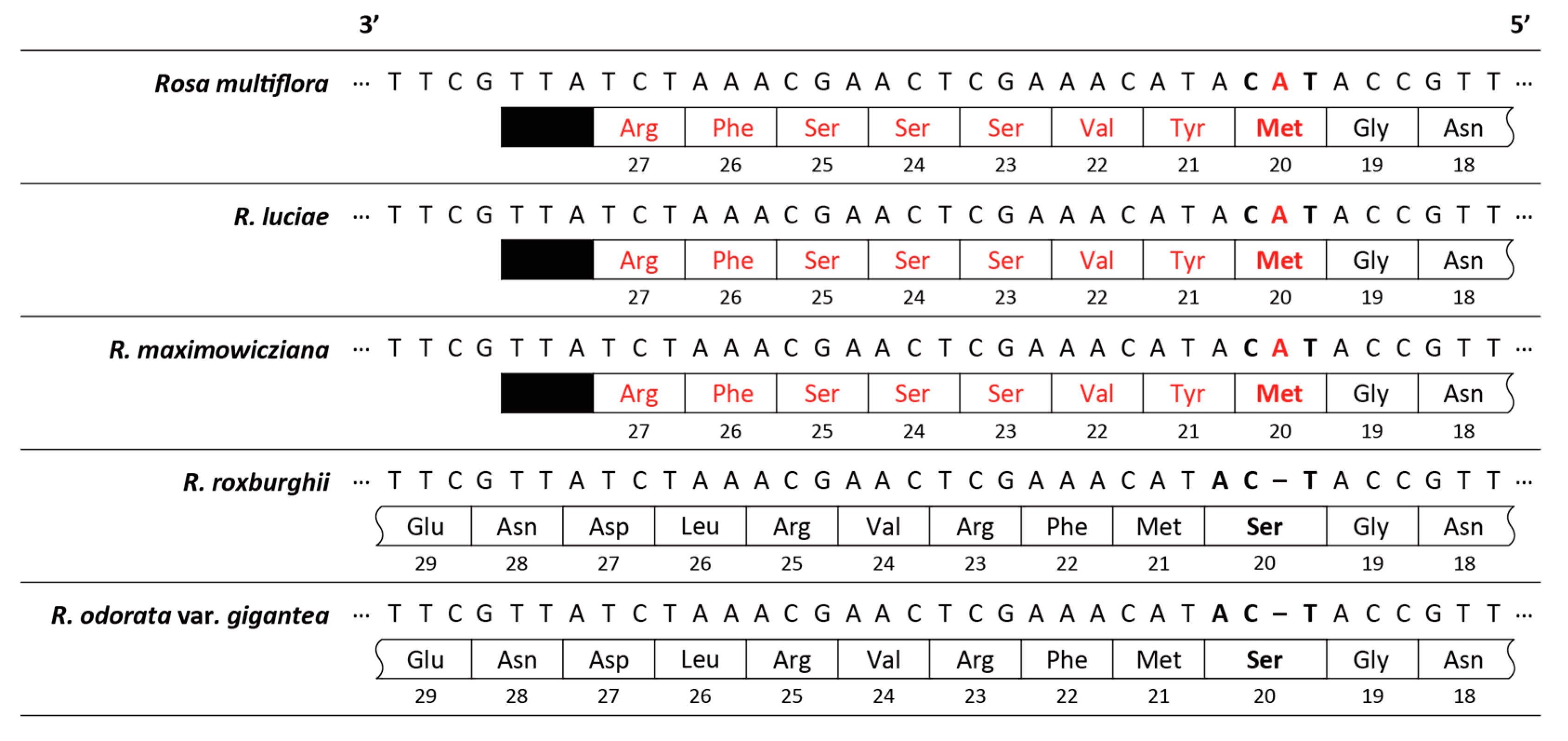 Genes 10 00023 g003 Genes 10 00023 g003