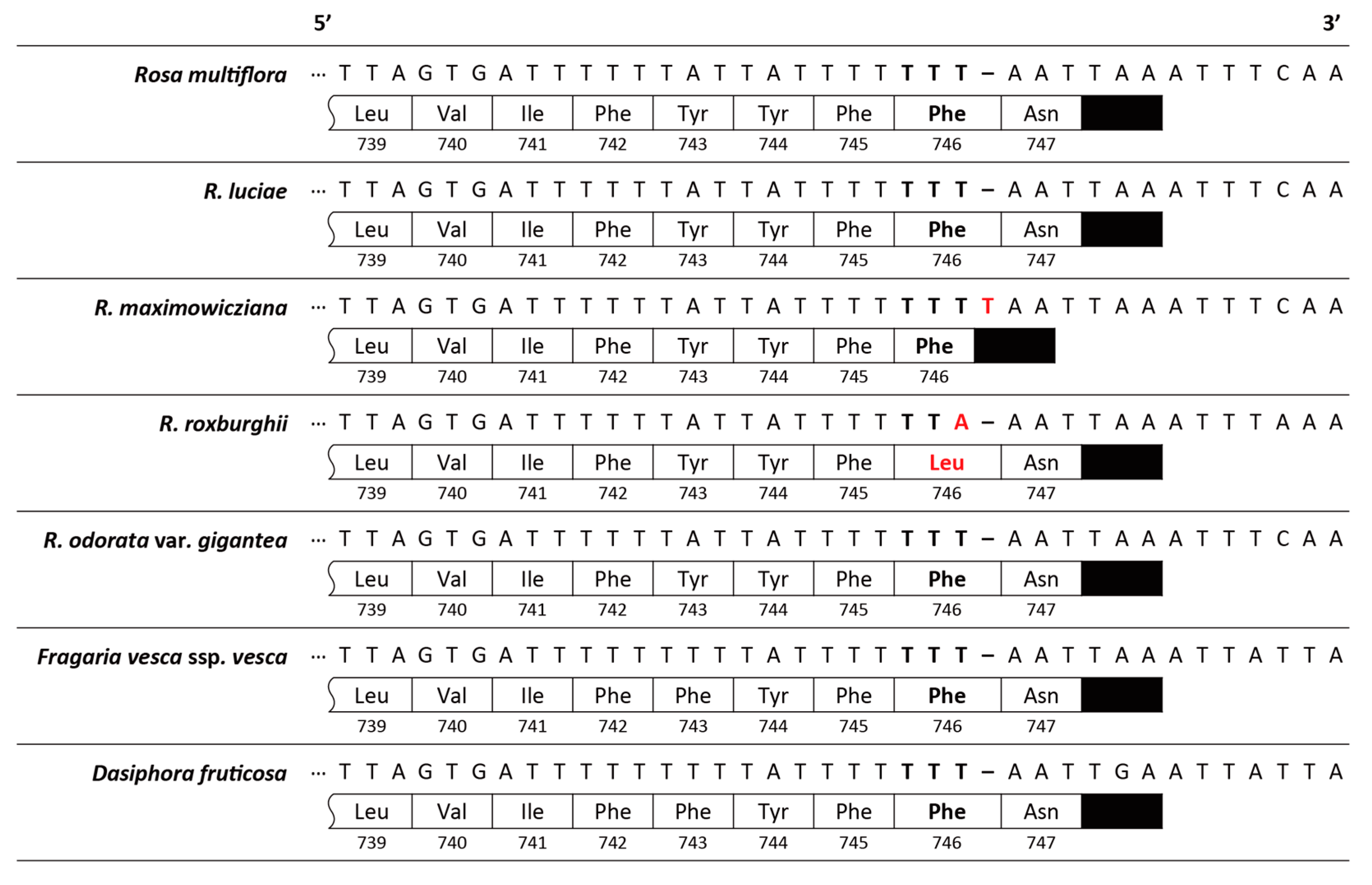 Genes 10 00023 g004 Genes 10 00023 g004