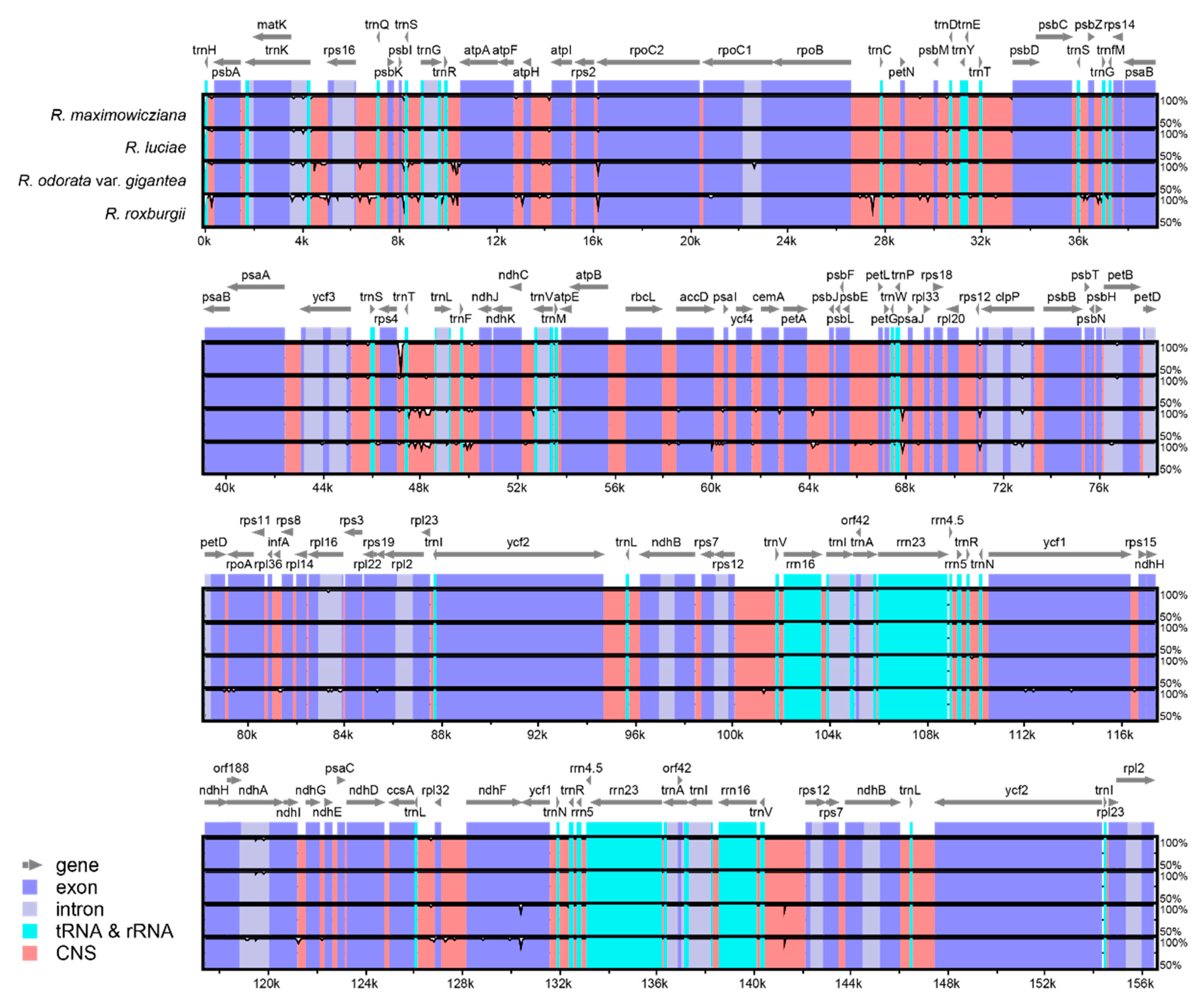 Genes 10 00023 g005 Genes 10 00023 g005