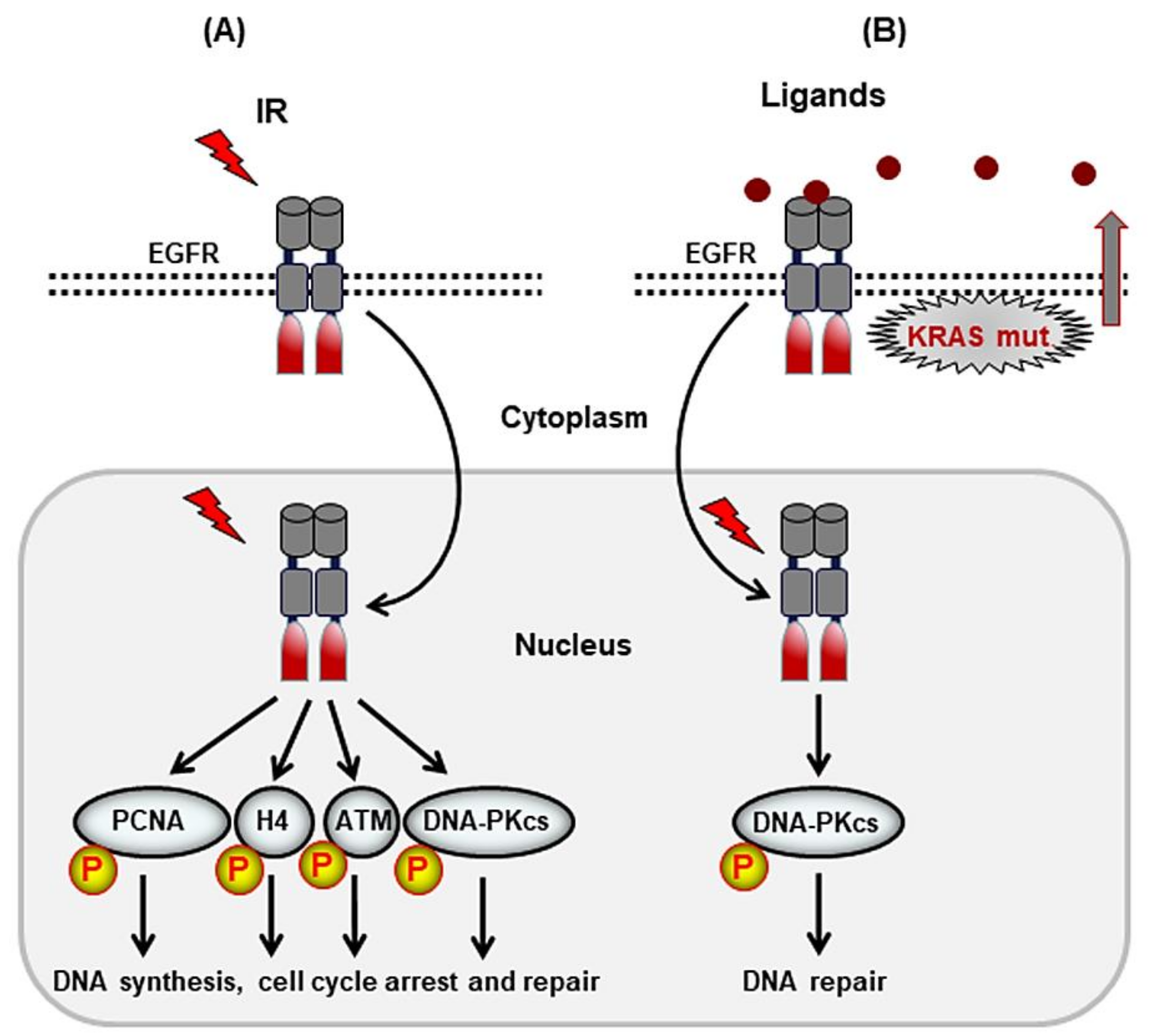 Genes 10 00025 g002 Genes 10 00025 g002