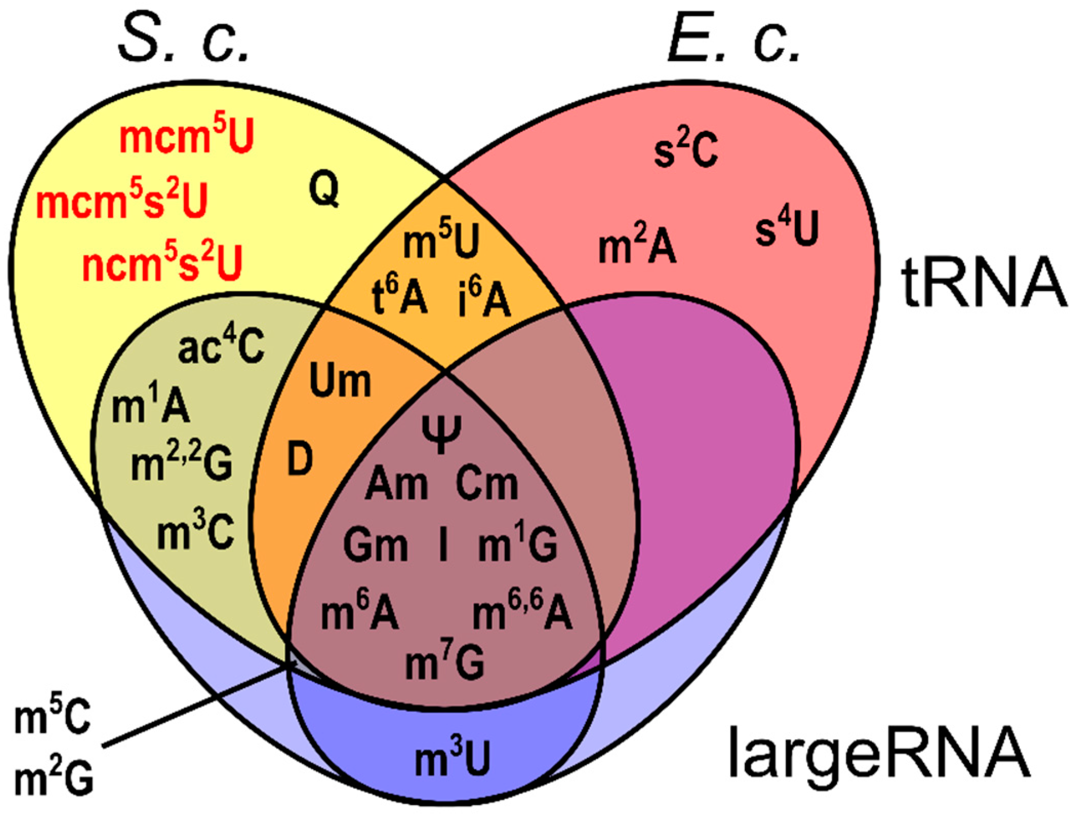 Genes 10 00026 g003