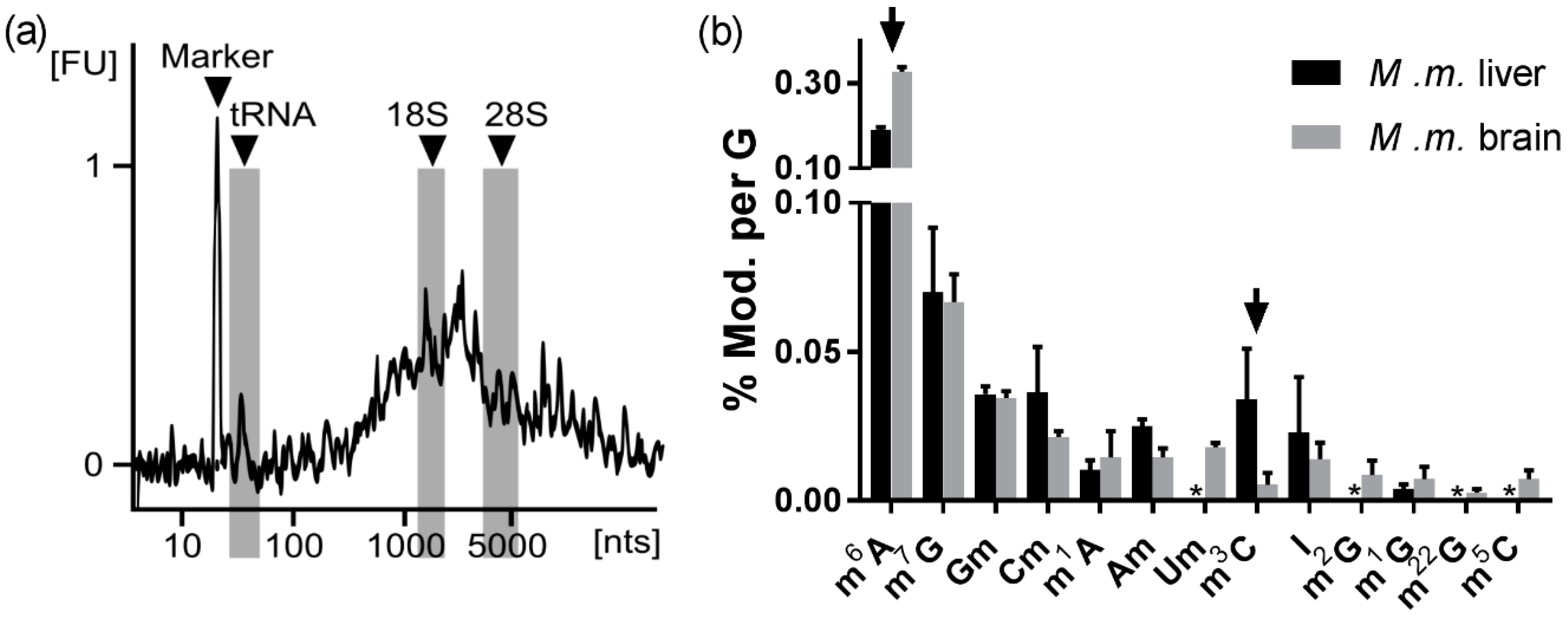 Genes 10 00026 g006