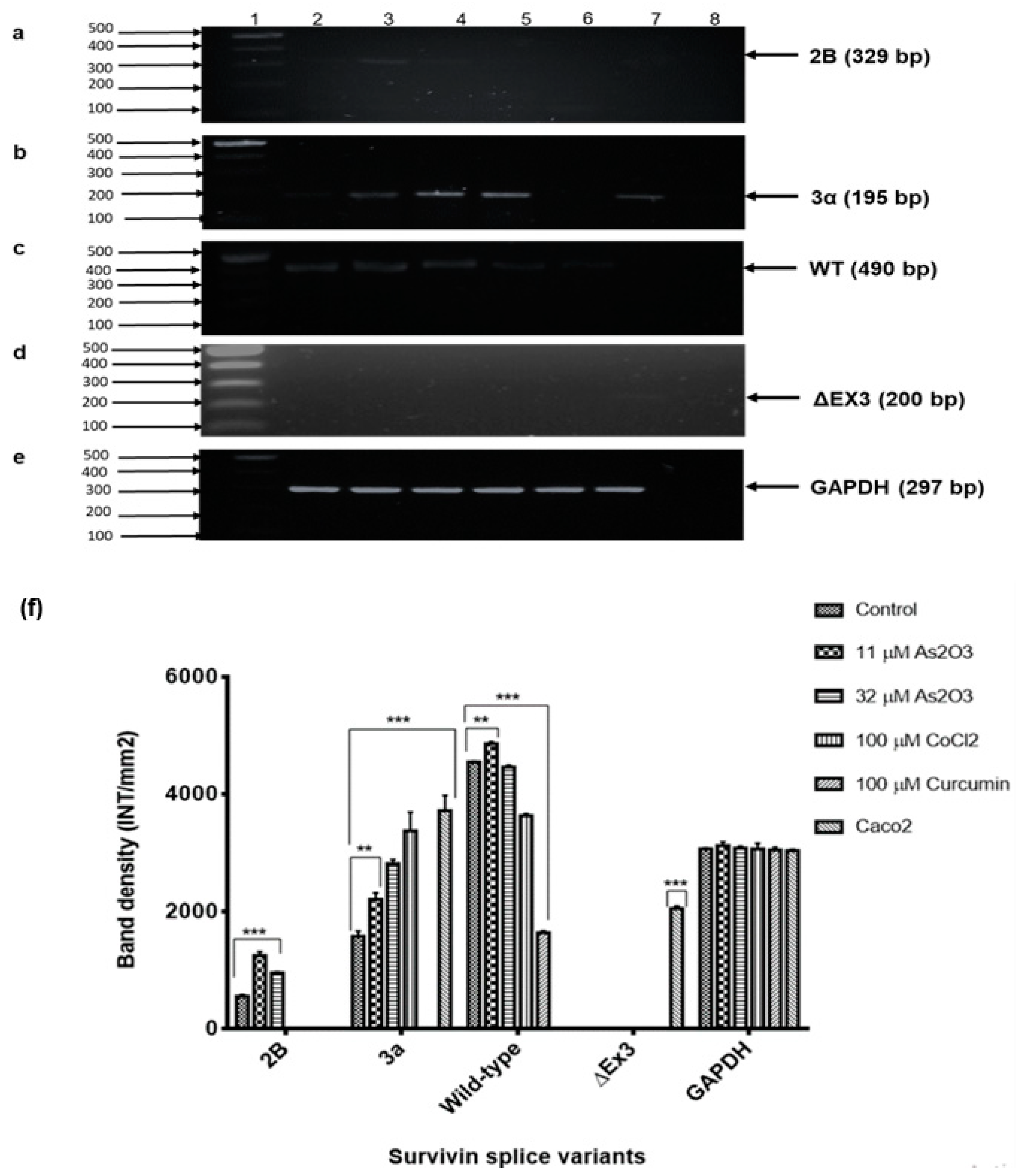 Genes 10 00041 g011