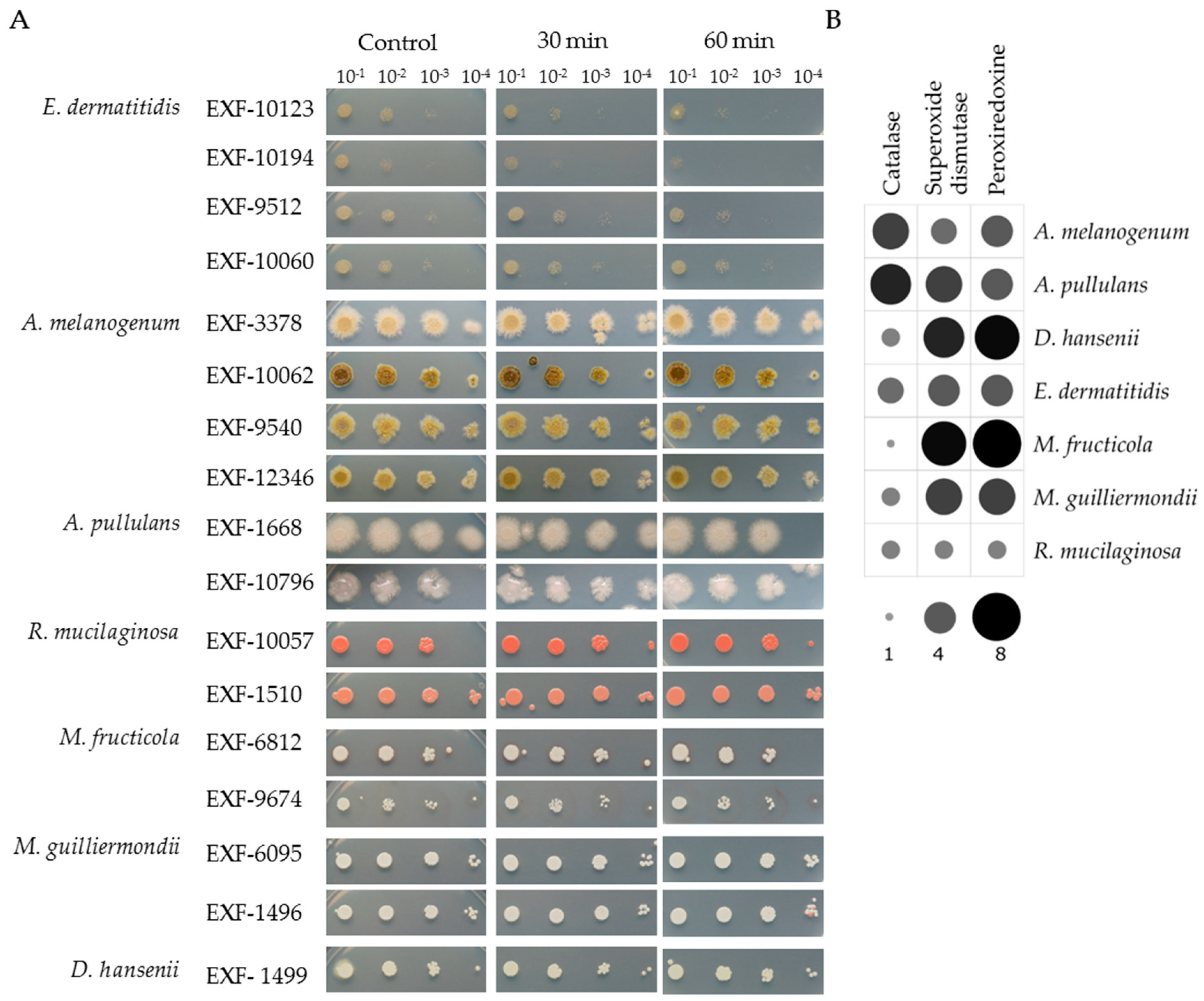 Genes 10 00042 g002 Genes 10 00042 g002