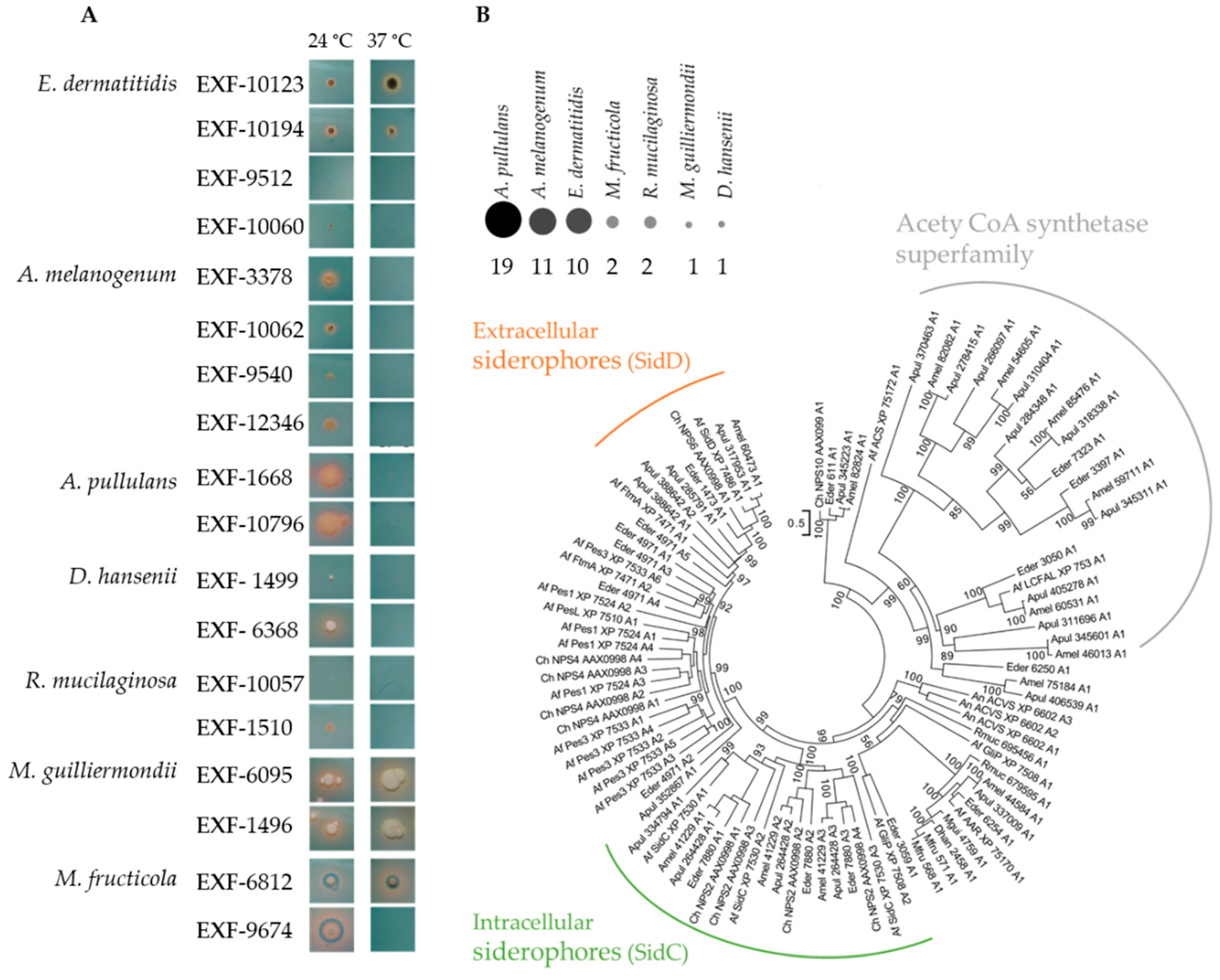 Genes 10 00042 g003 Genes 10 00042 g003