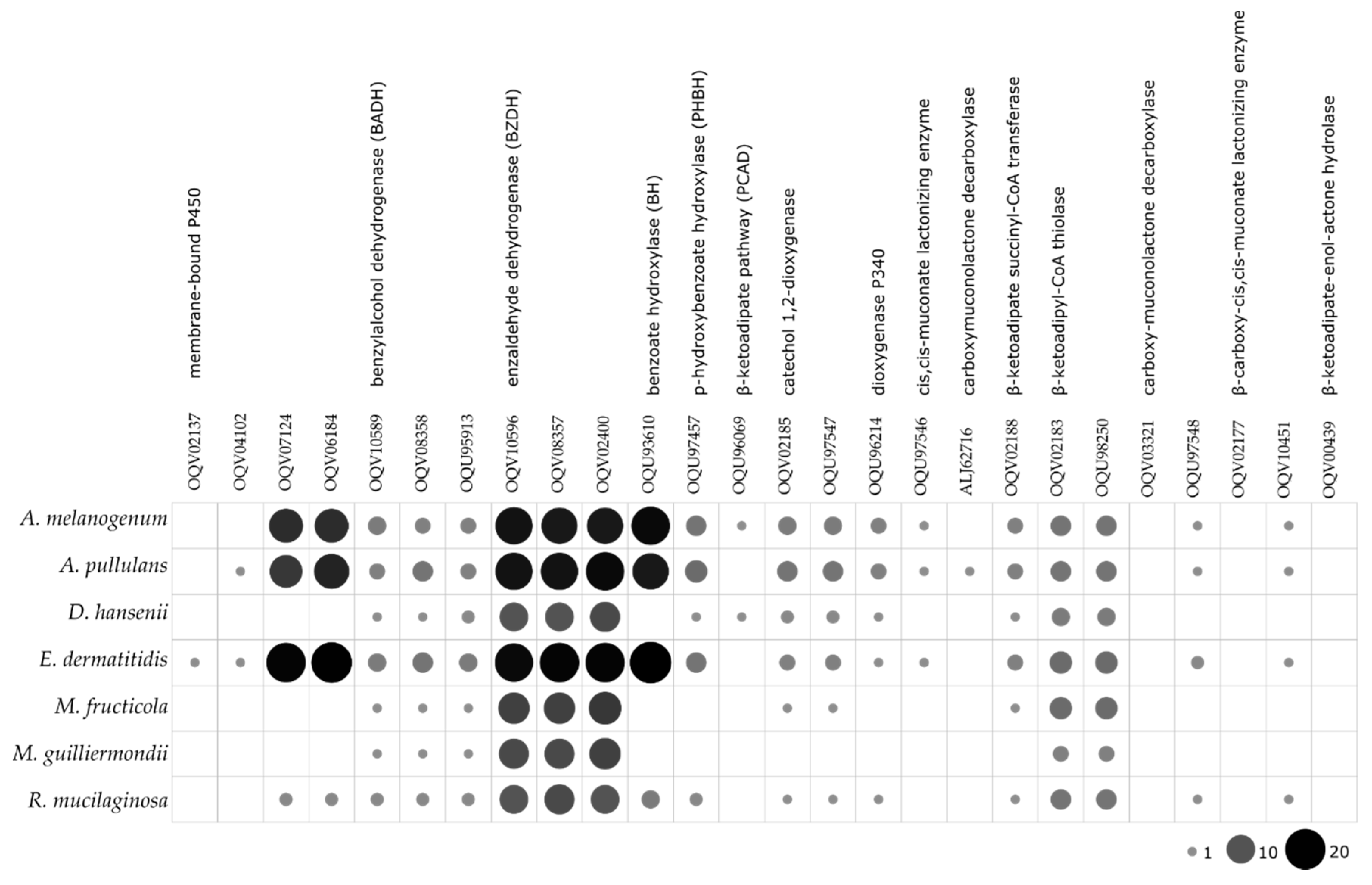Genes 10 00042 g005 Genes 10 00042 g005