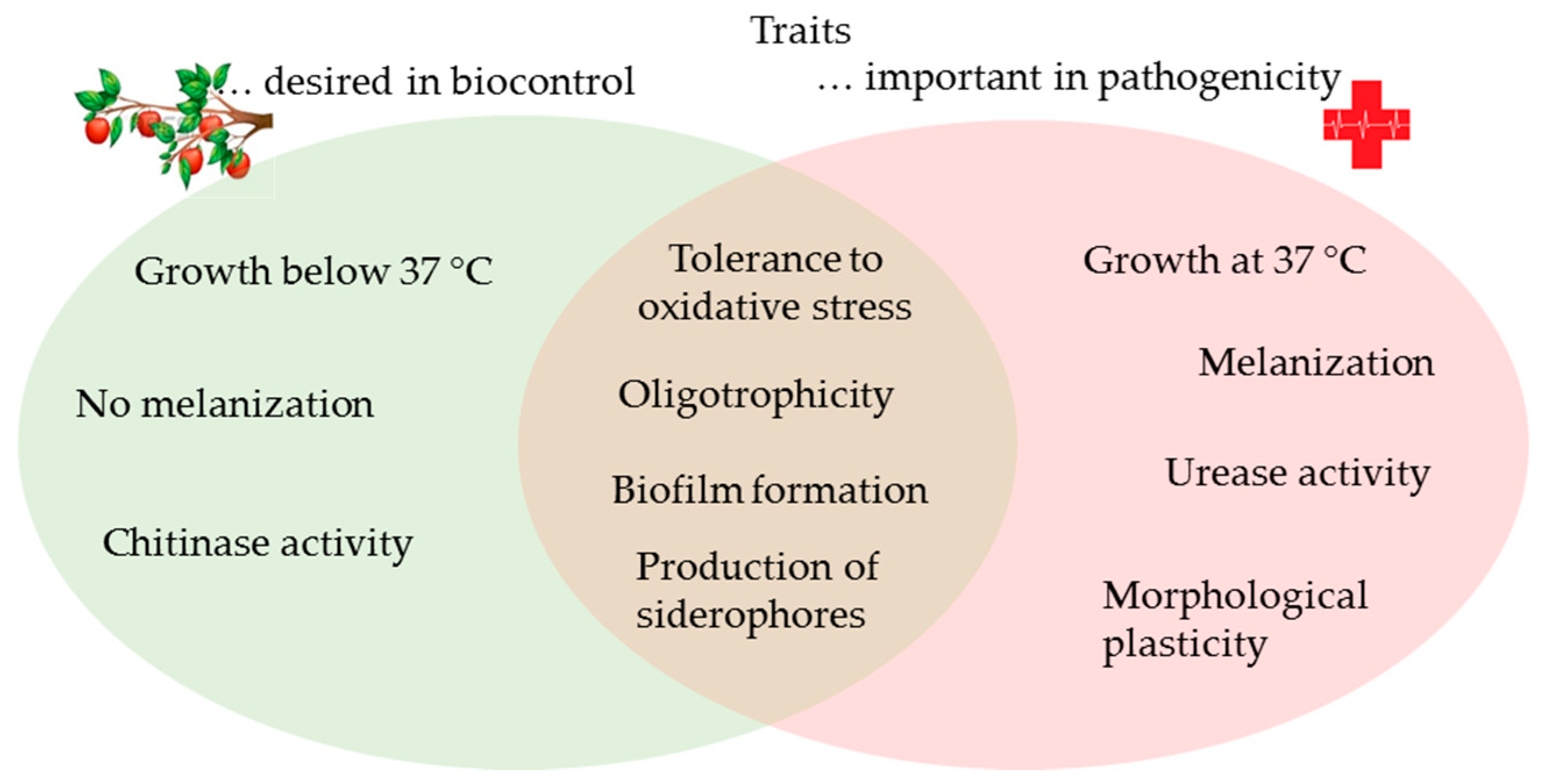 Genes 10 00042 g006 Genes 10 00042 g006