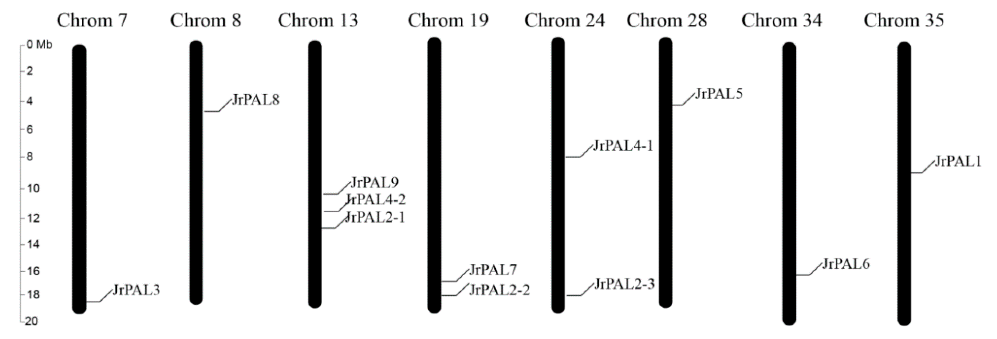 Genes 10 00046 g002