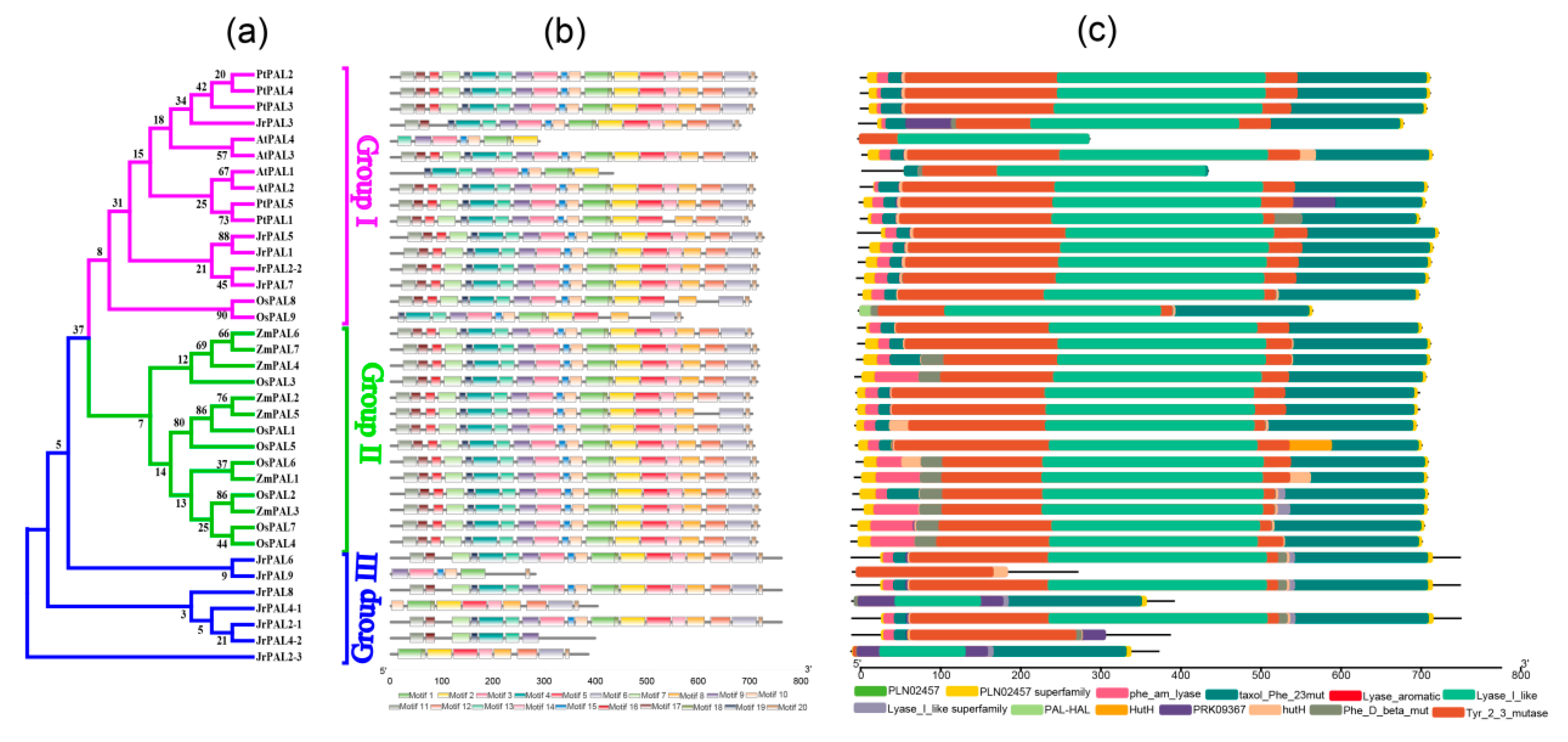 Genes 10 00046 g003