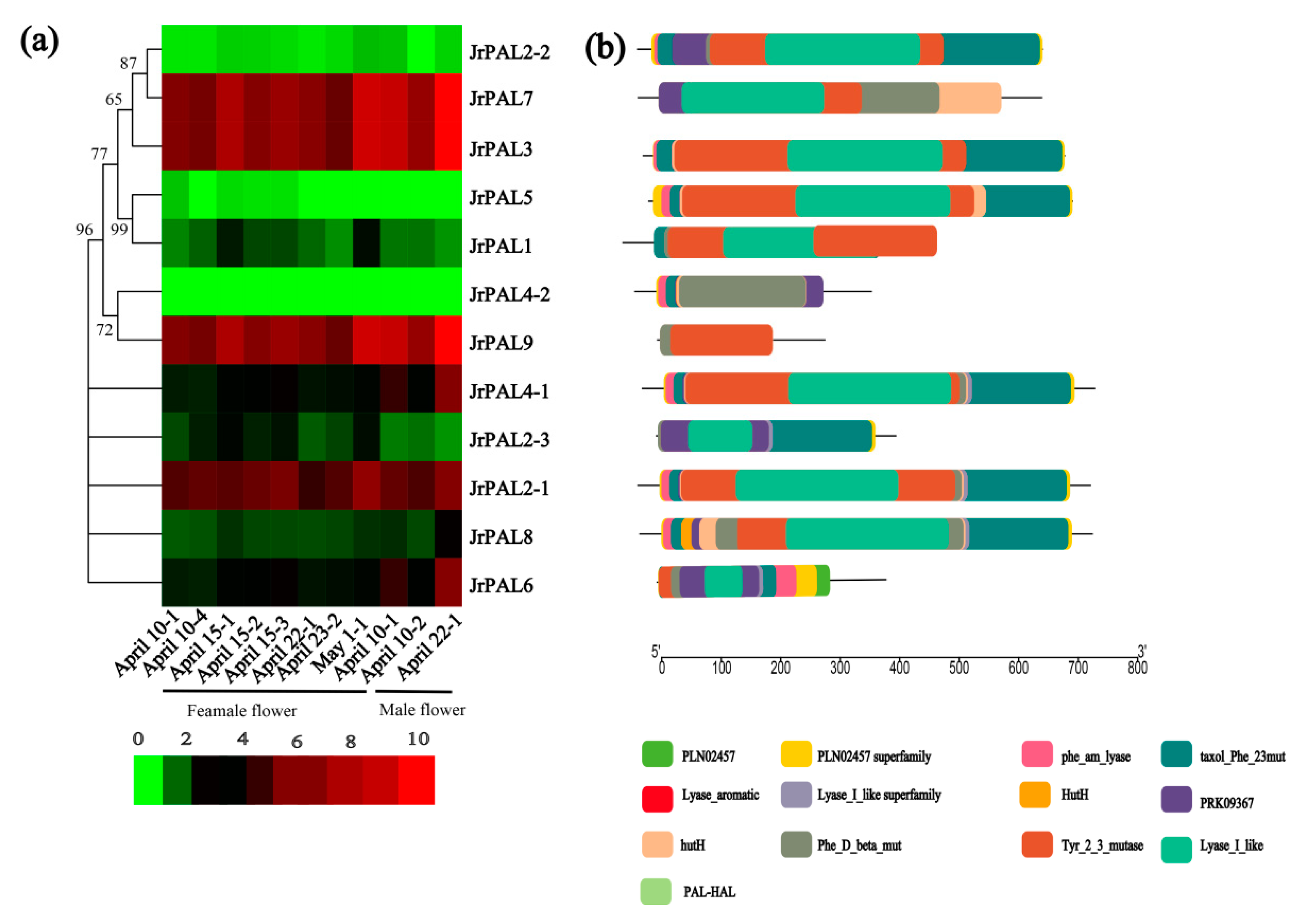 Genes 10 00046 g006