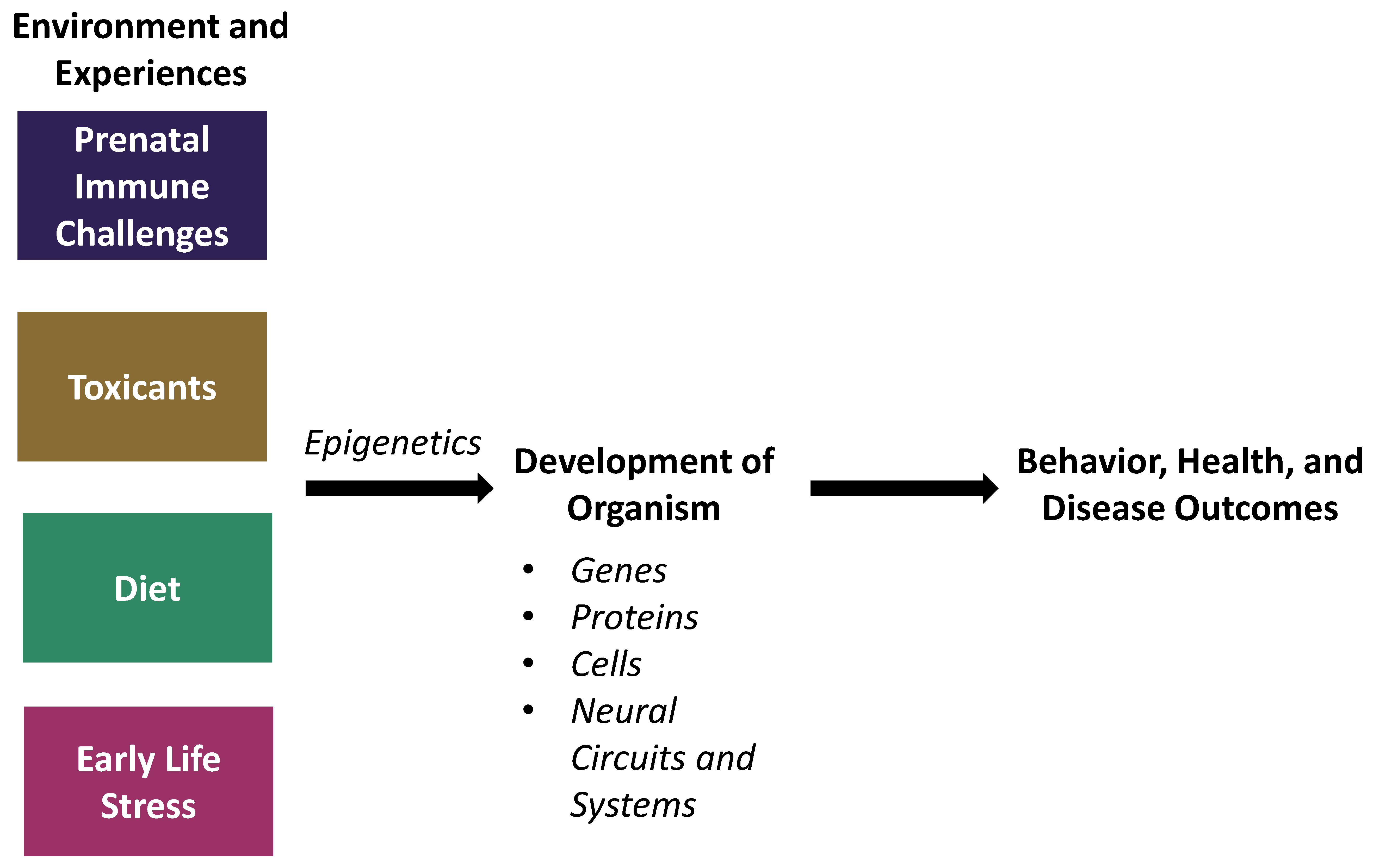 Genes 10 00047 g002