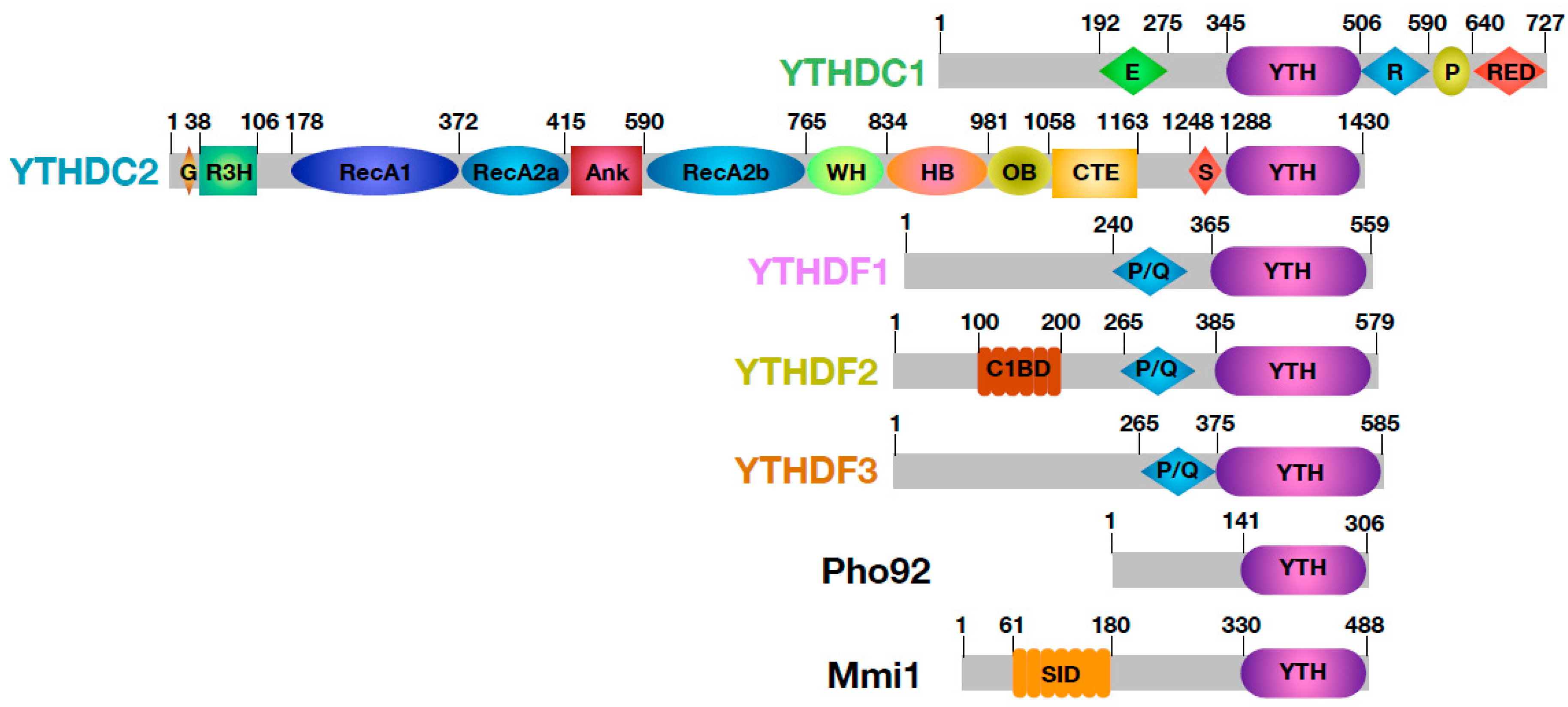Genes 10 00049 g002