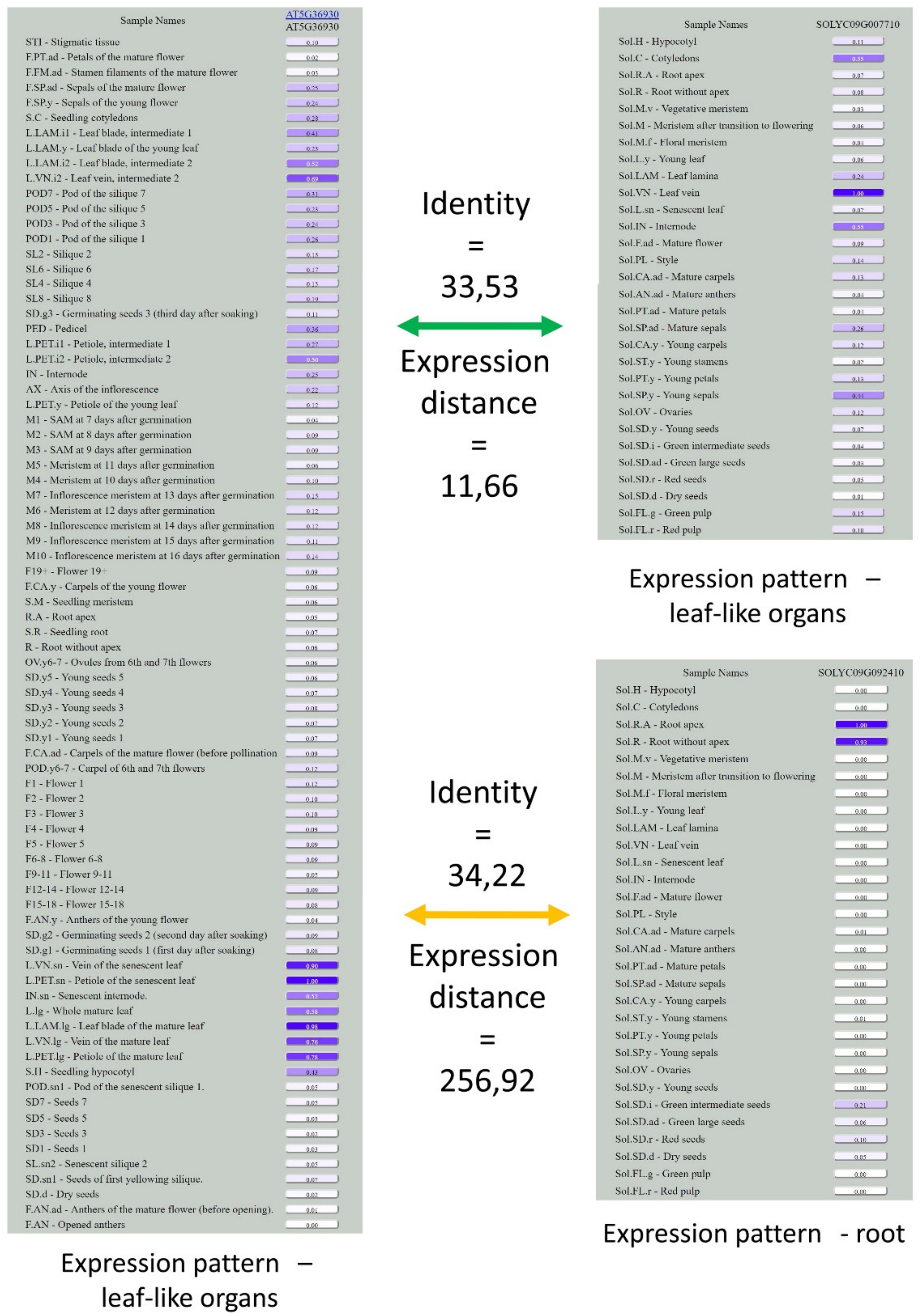 Genes 10 00050 g004