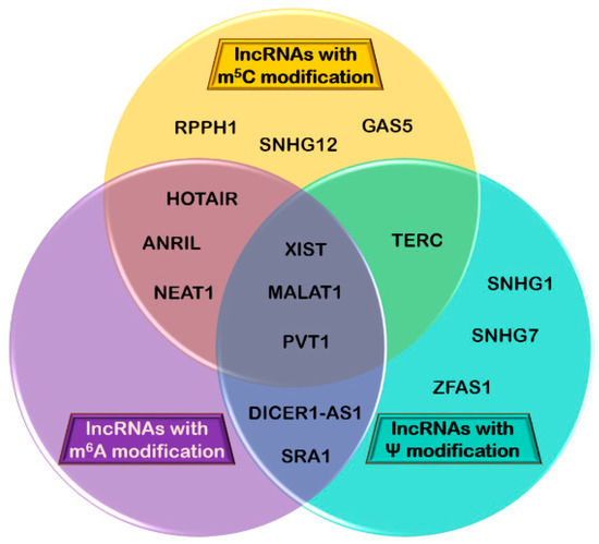 genes special issue the epitranscriptome in human disease codon vs anticodon venn diagram