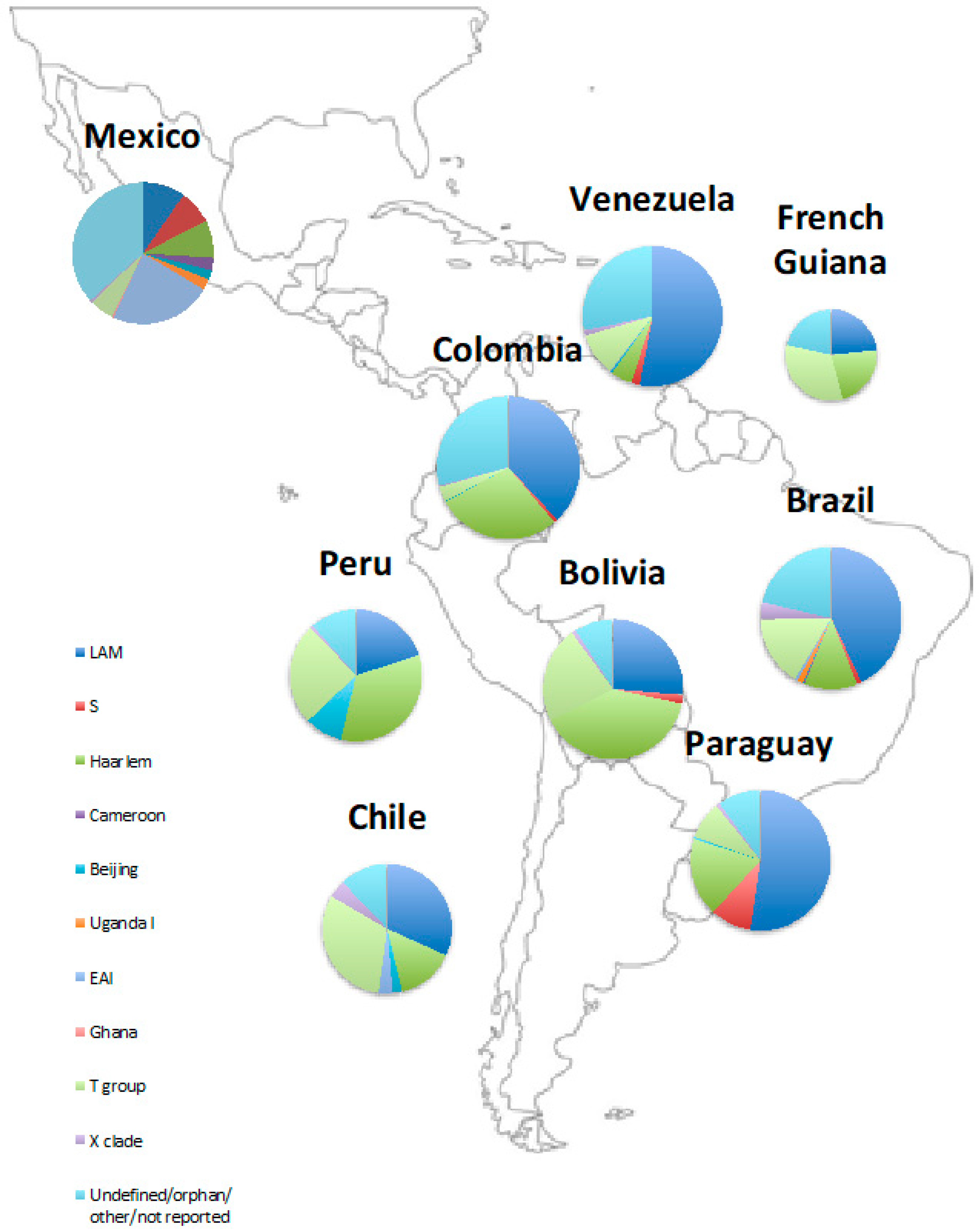 Genes Free Full Text Tuberculosis Genetic Epidemiology A