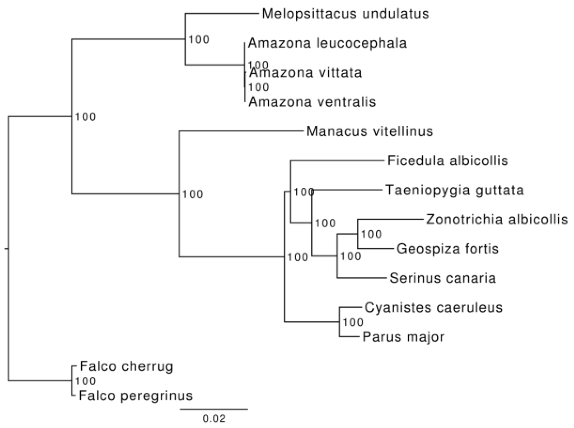 Genes 10 00054 g002