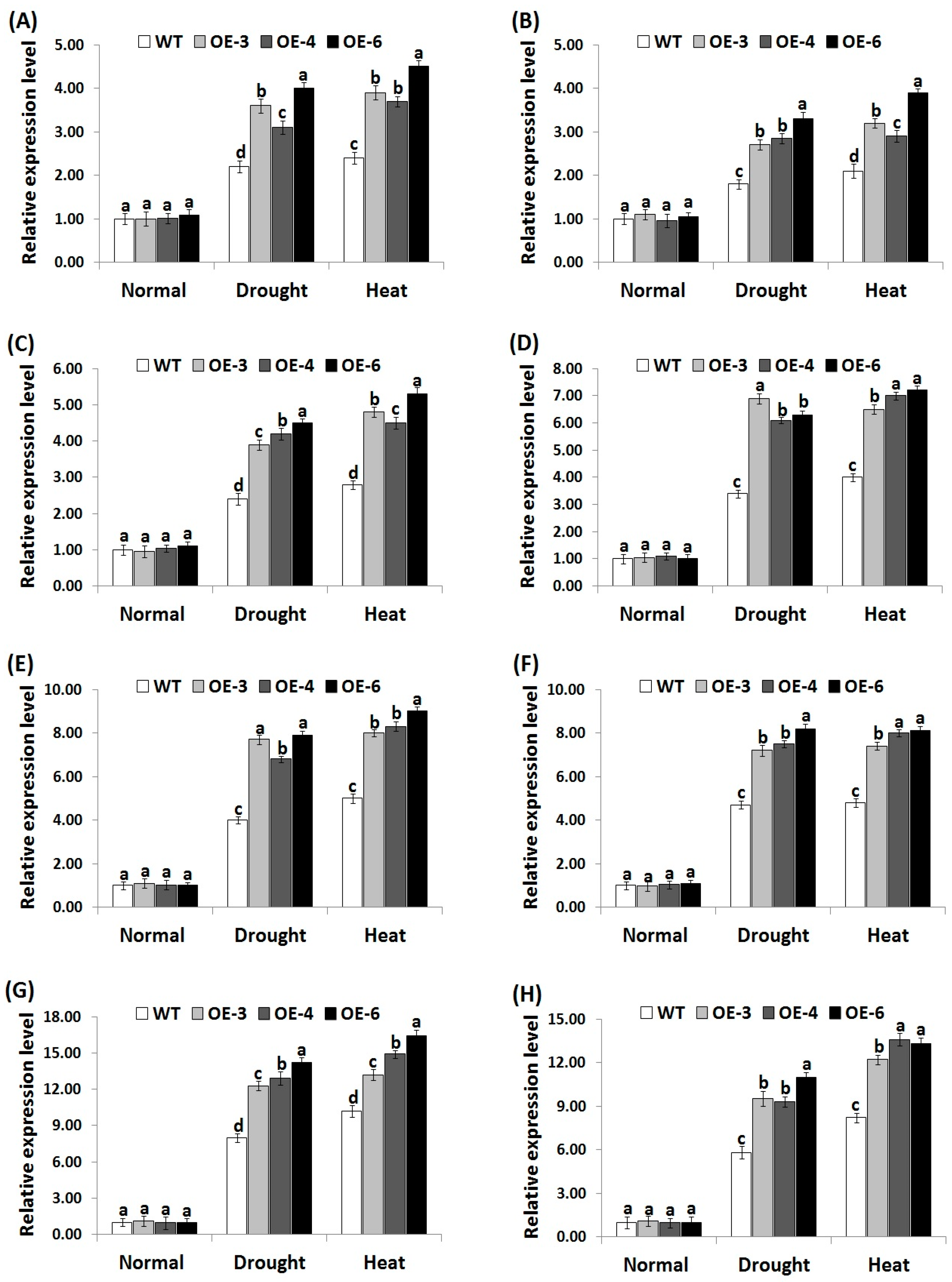 Genes 10 00056 g007