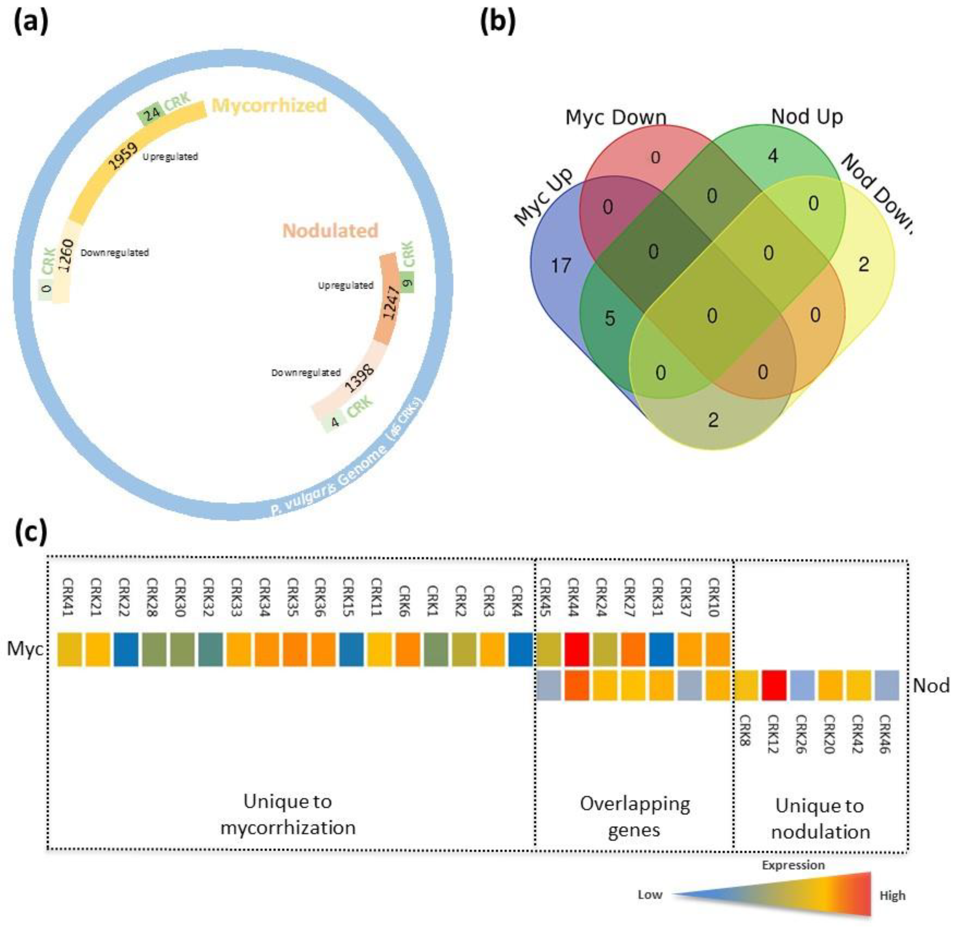 Genes 10 00059 g006